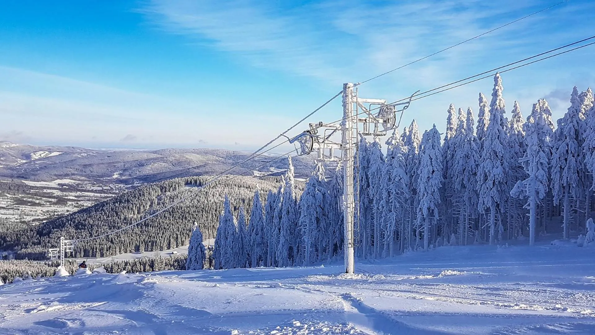 Kosówka Czarna Góra