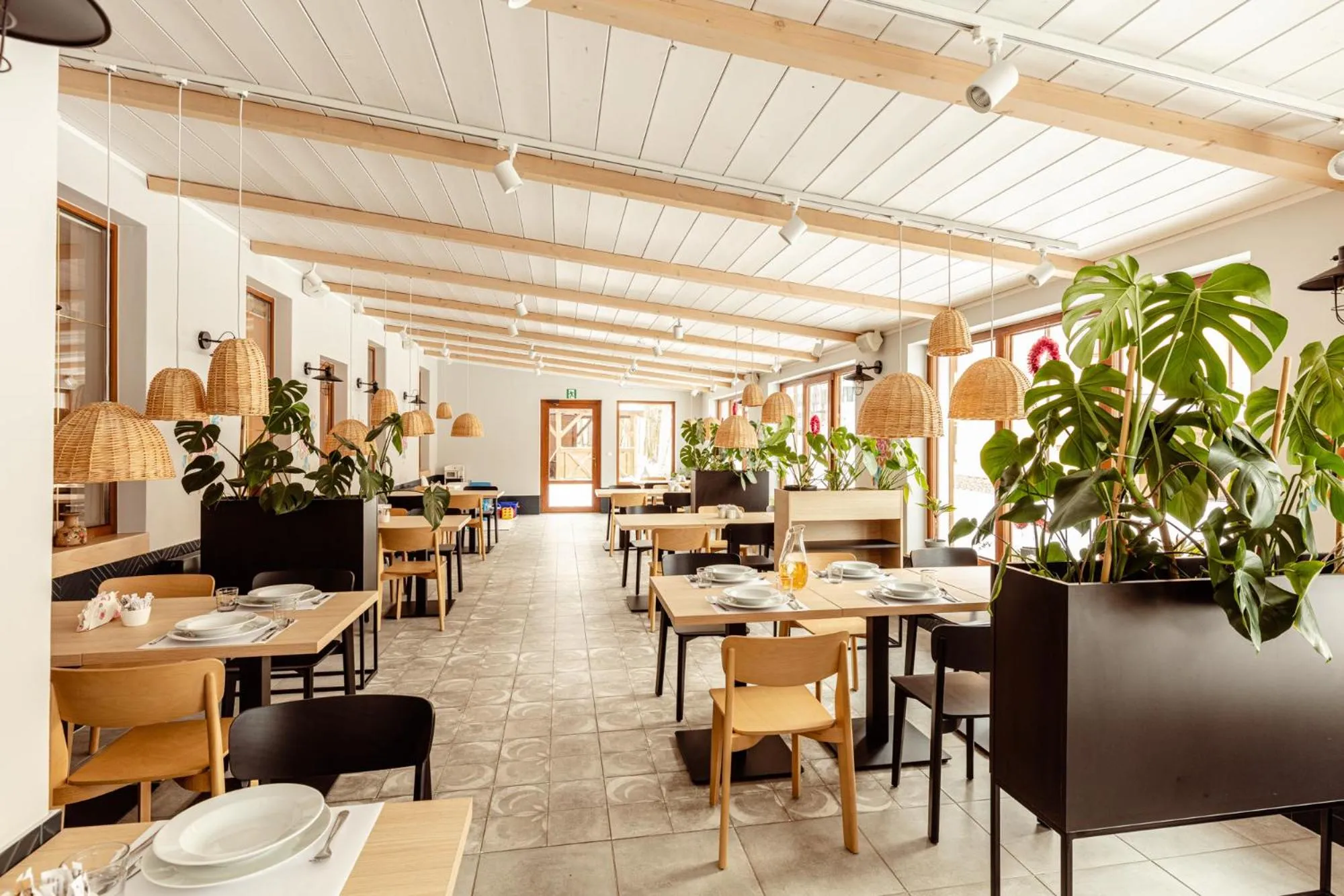 Kosówka Czarna Góra