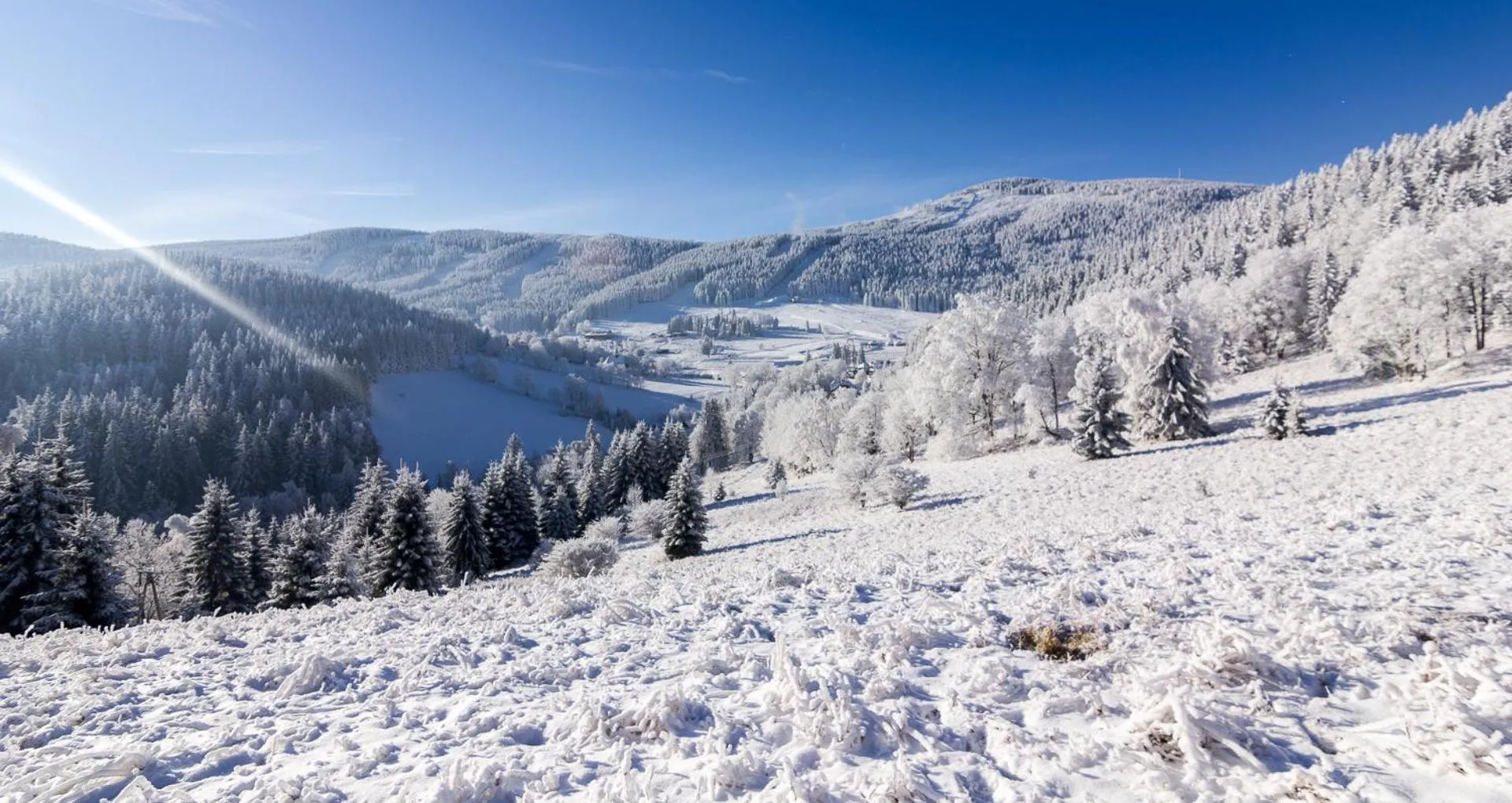 Kosówka Czarna Góra