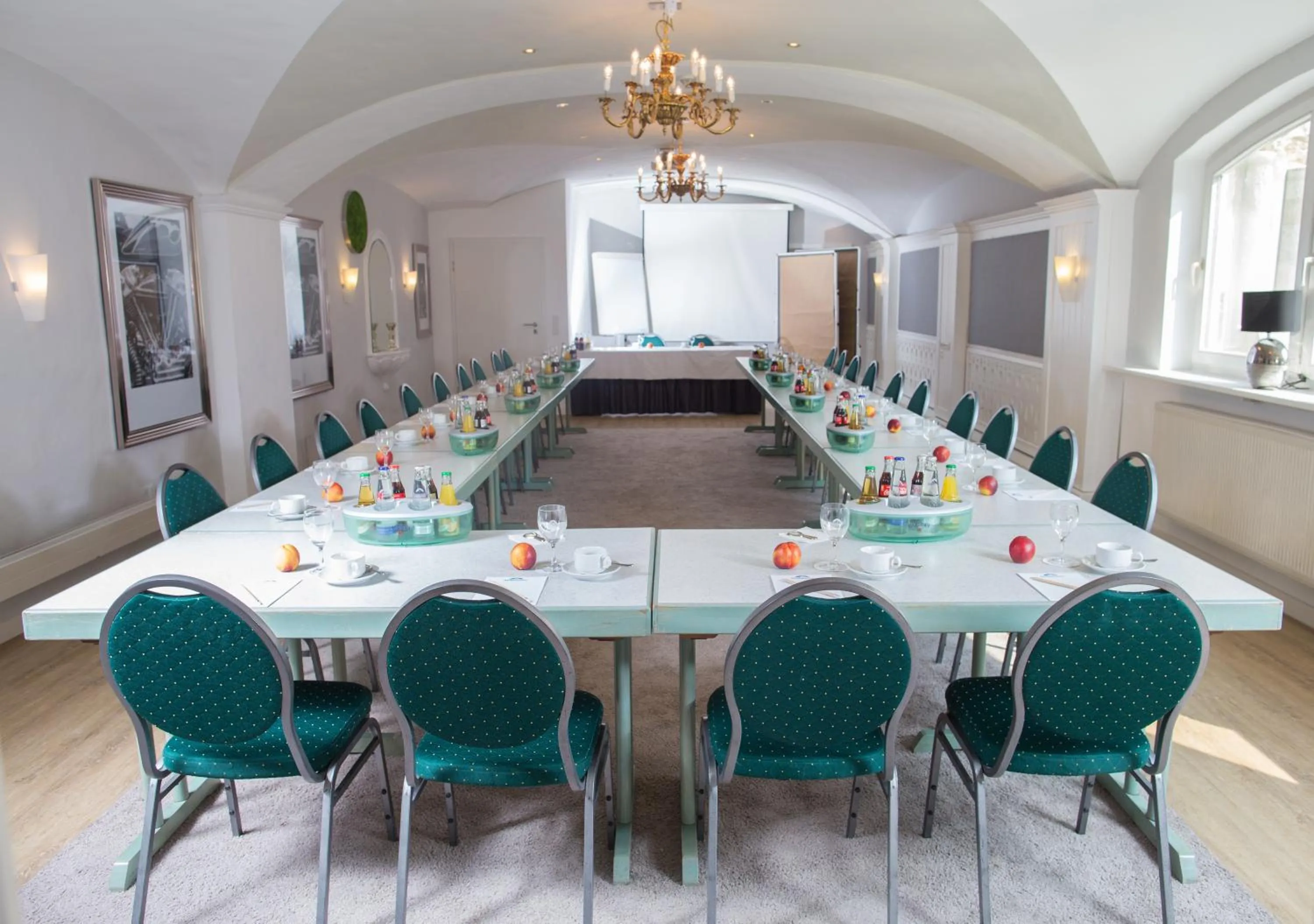 Business facilities in Hotel Domizil