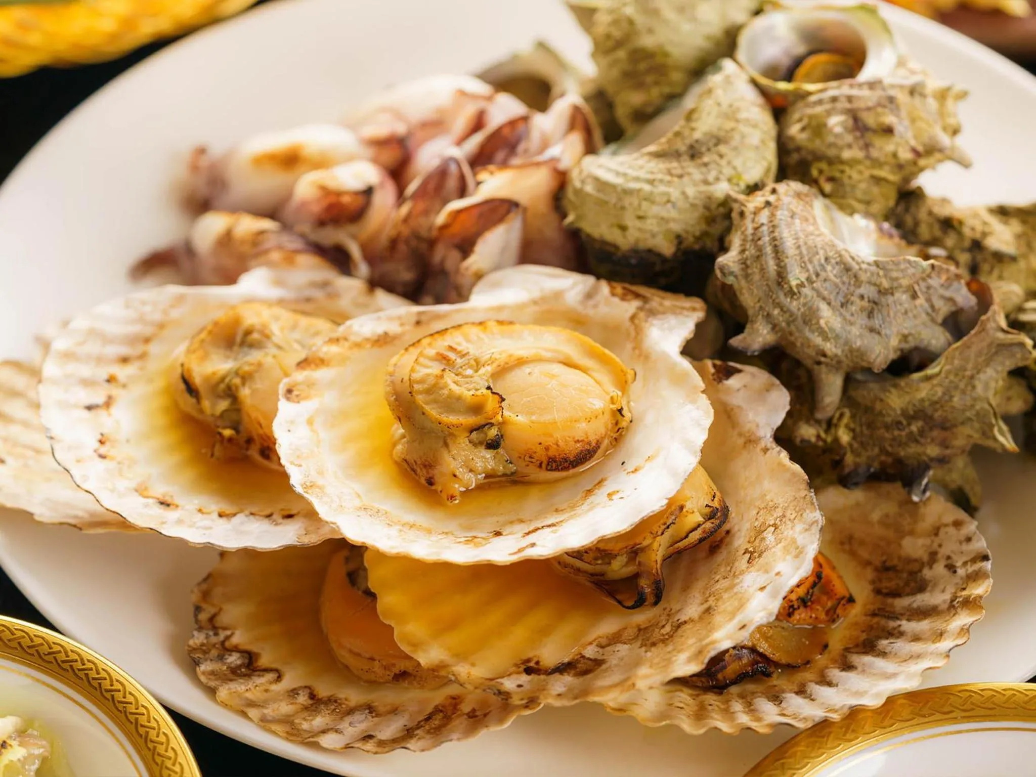 Hiking in Mikazuki Sea-Park Hotel Katsuura