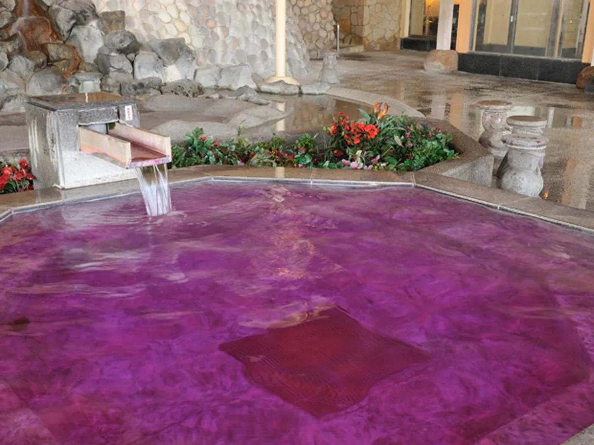 Hot Spring Bath in Ryugujo Spa Hotel Mikazuki Ryugutei