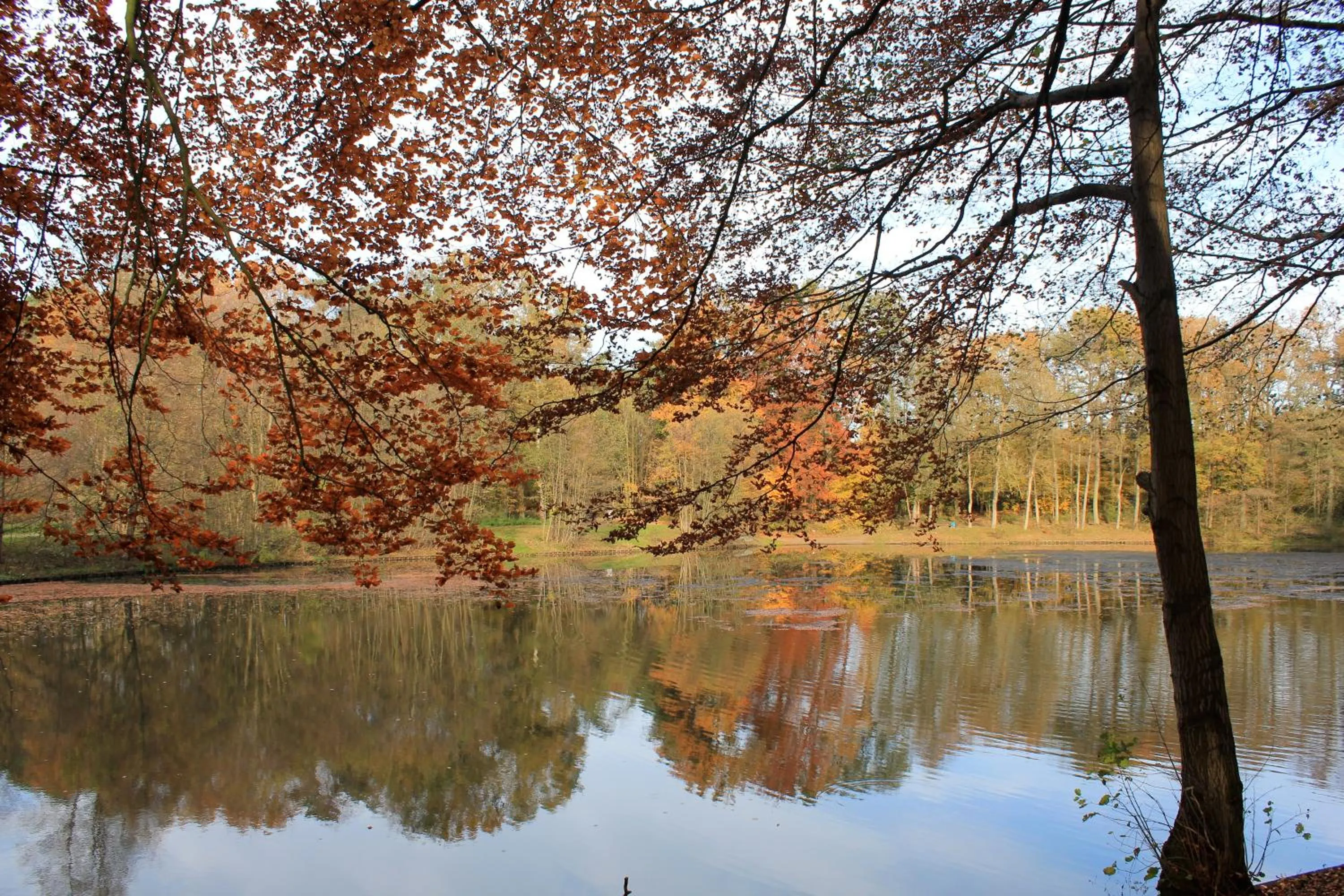 Garden in Hotel Wintersmühle