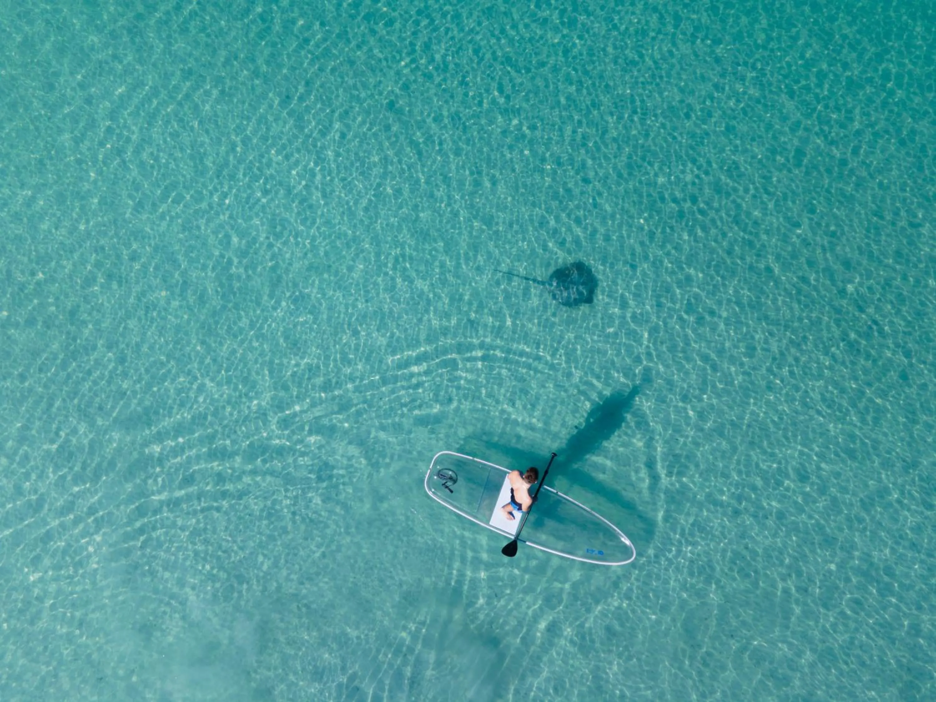 Natural landscape in Blue Skies Beach Resort
