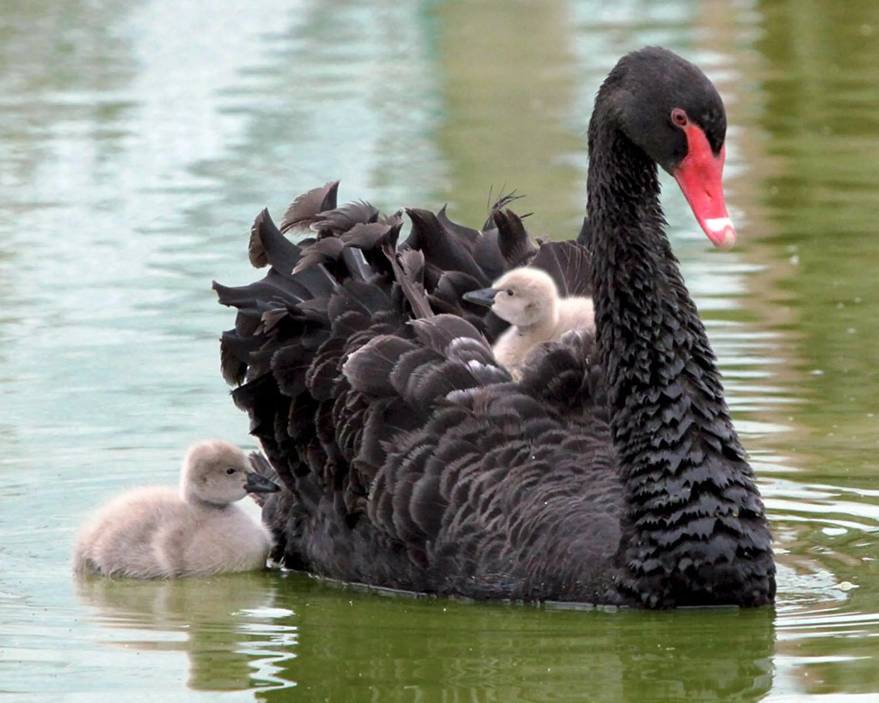 Nearby landmark in Studio indépendant chez l'habitant