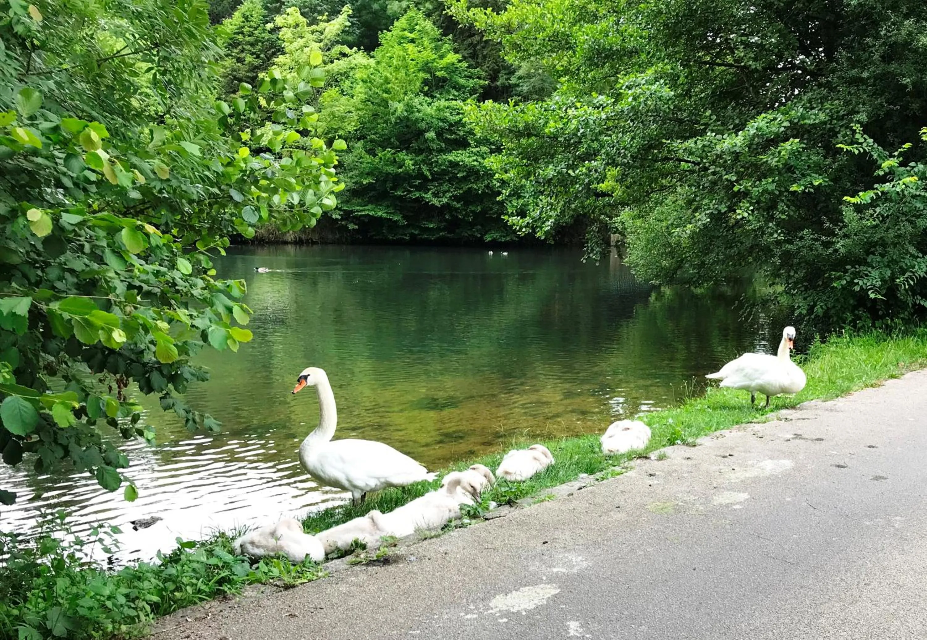 Nearby landmark in Studio indépendant chez l'habitant