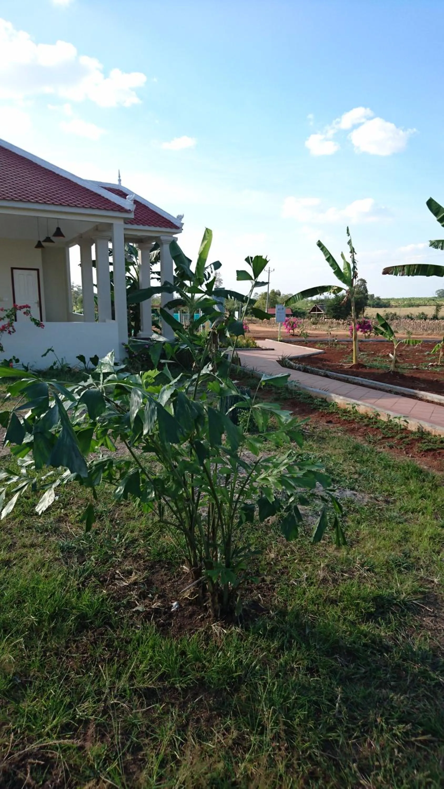 Property building in Koh Ker Hotel and Restaurant