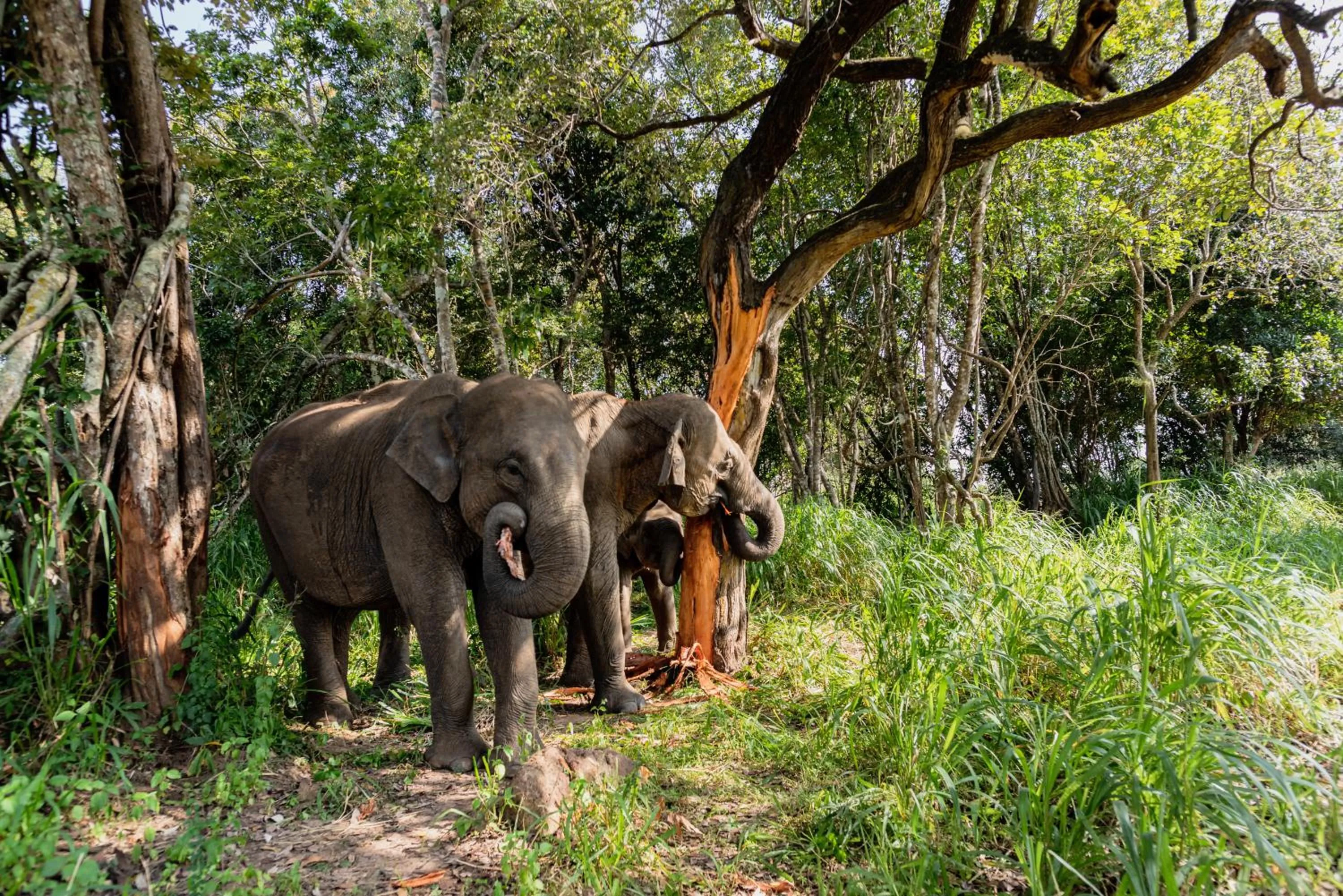 Activities in La Dolce Vita