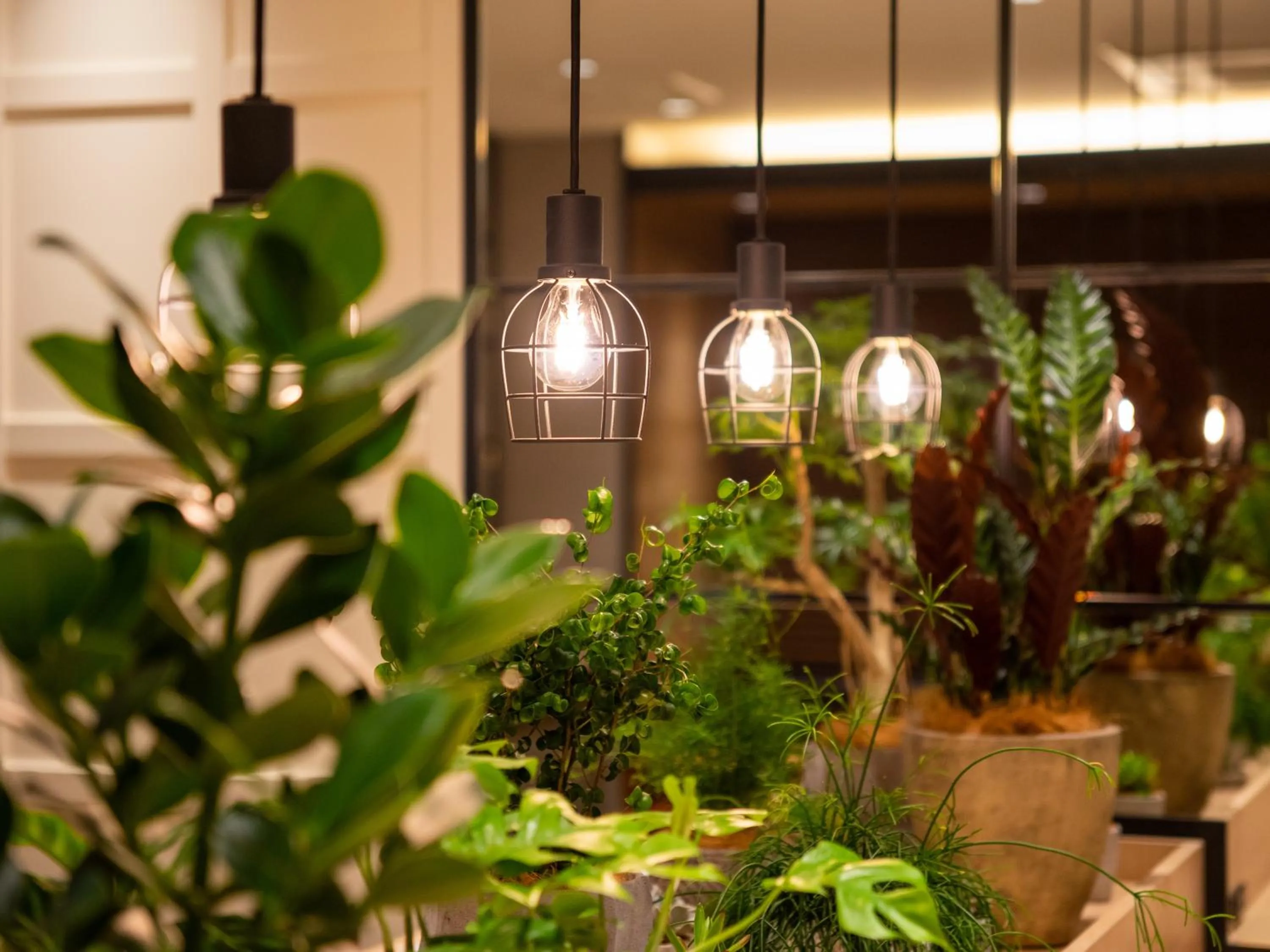 Lounge or bar in Super Hotel Okayama Station Higashiguchi