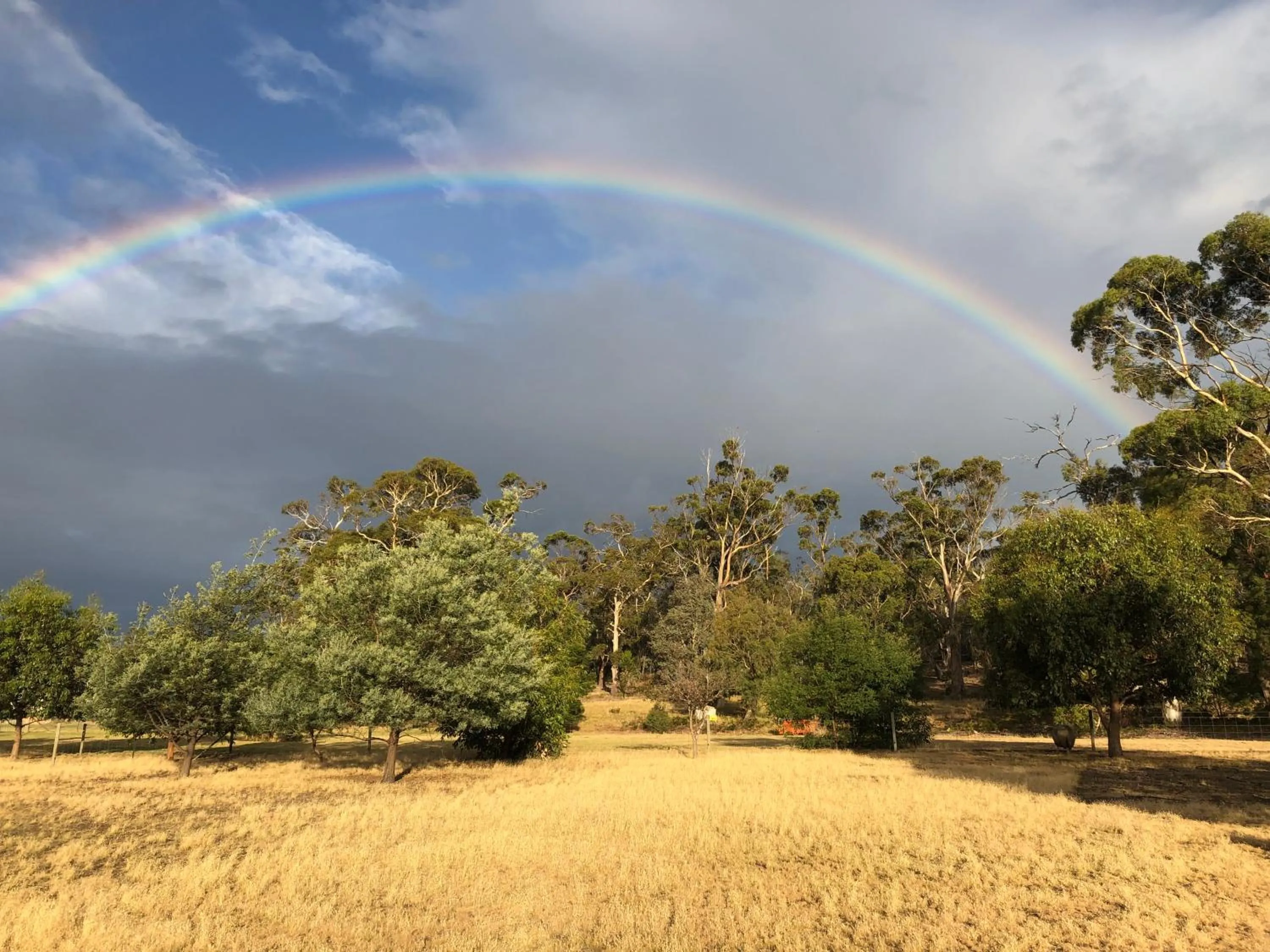 Garden in Couples Retreat with Mountain View Near Hobart