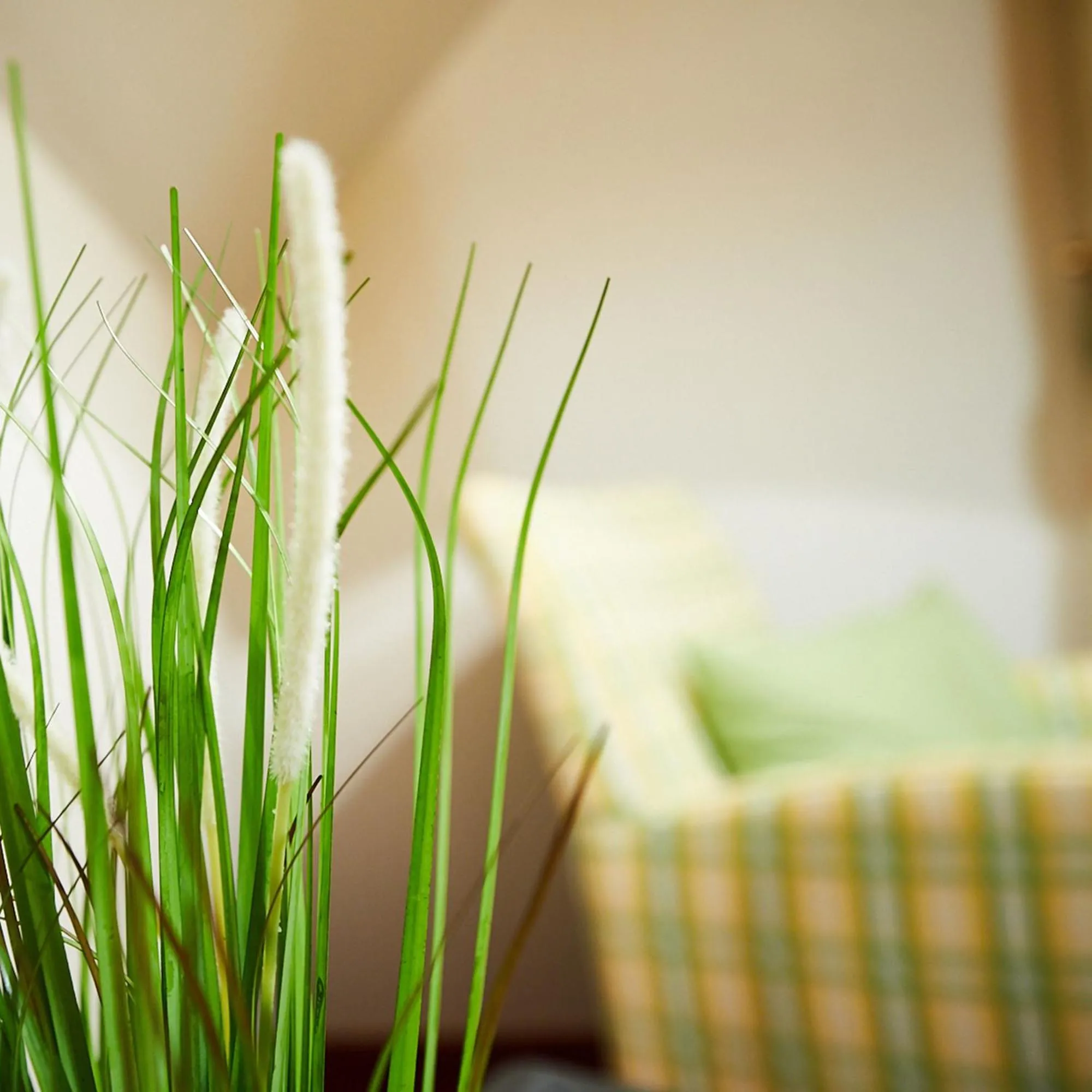 Living room, Bed in Landhotel & Gasthof Cramer