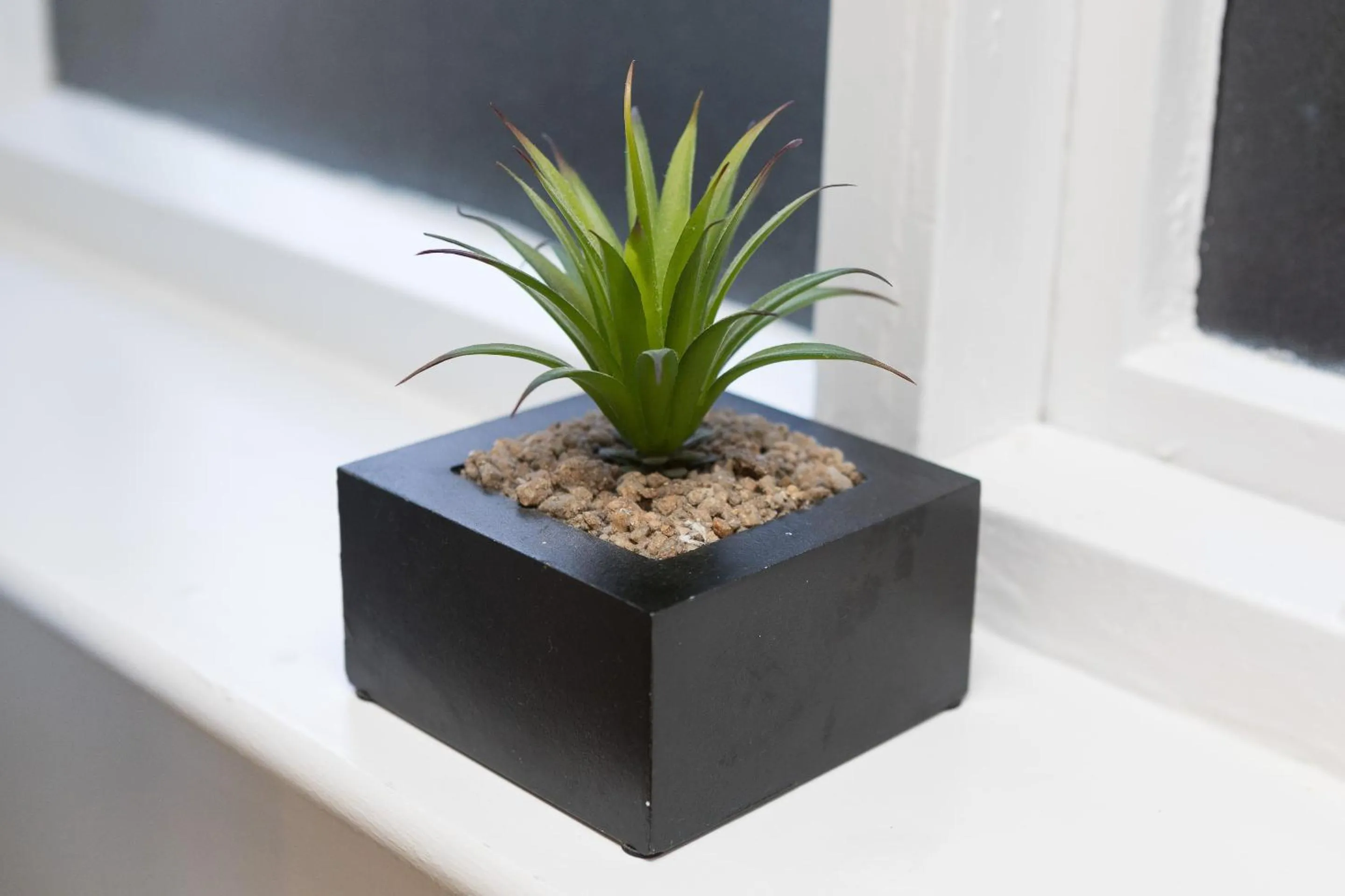 Other in The City Hotel