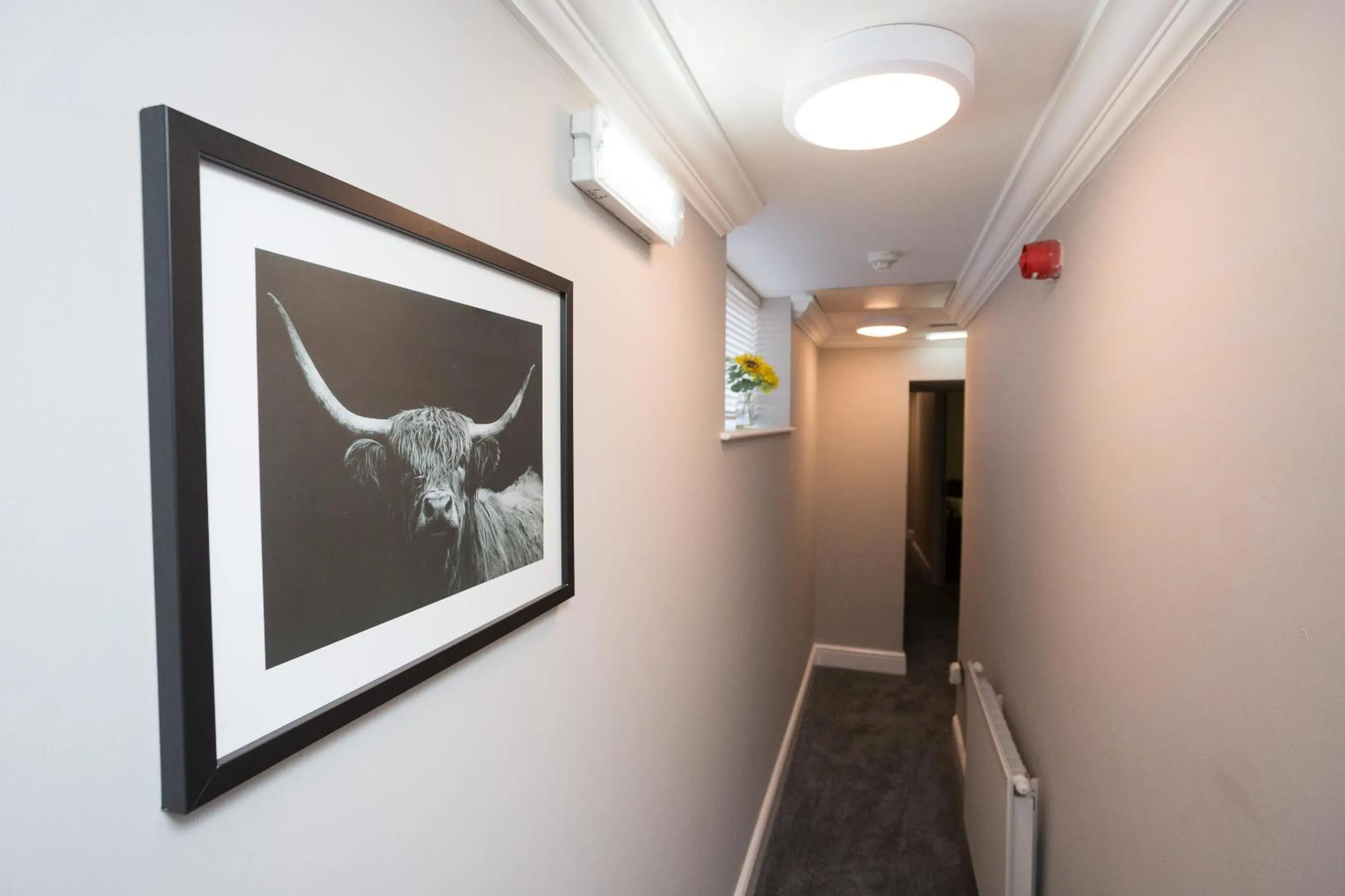 Other in The City Hotel