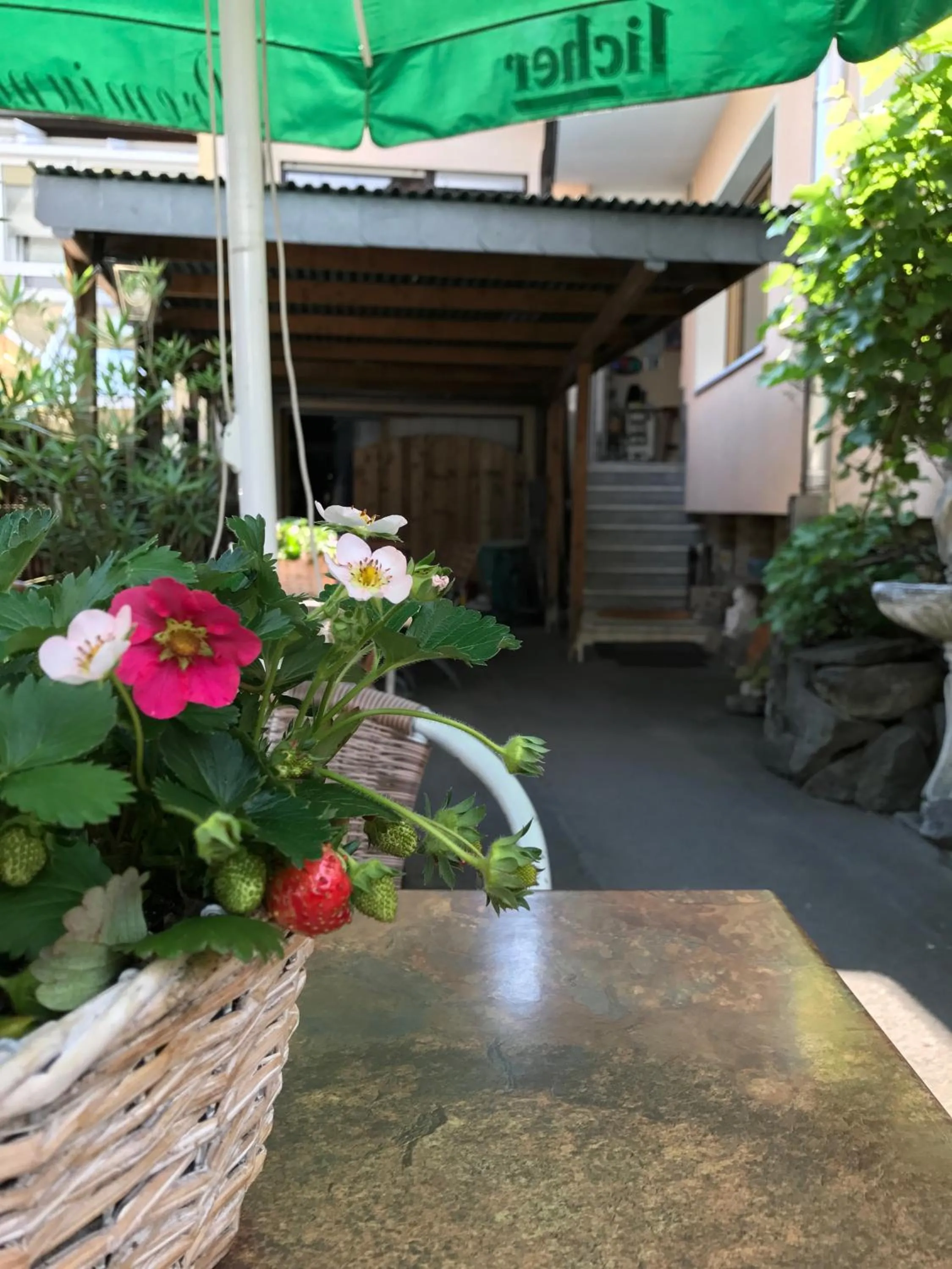 Patio in Hotel Restaurant Alt Laubach