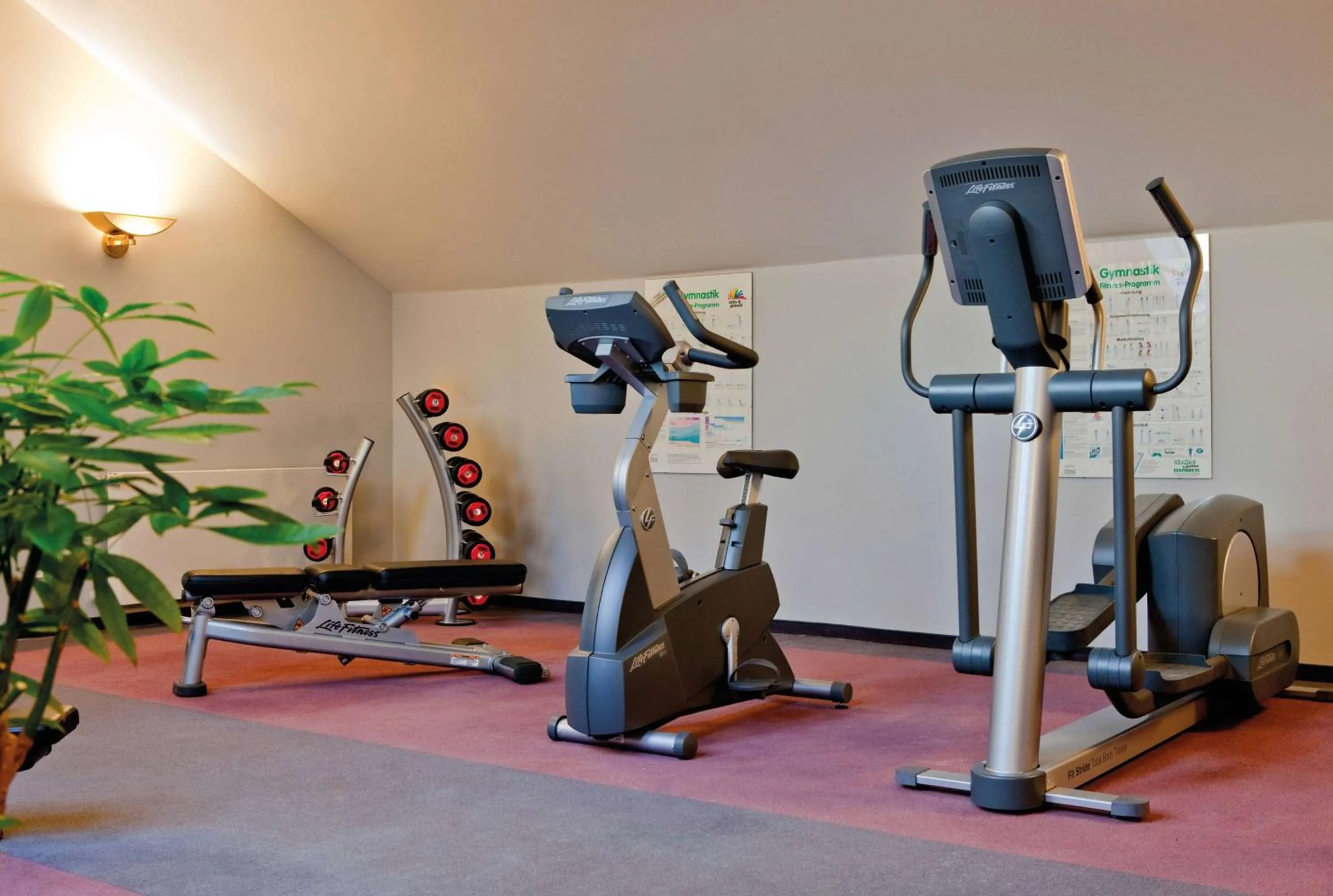 Fitness centre/facilities in Vienna House by Wyndham Thüringer Hof Eisenach