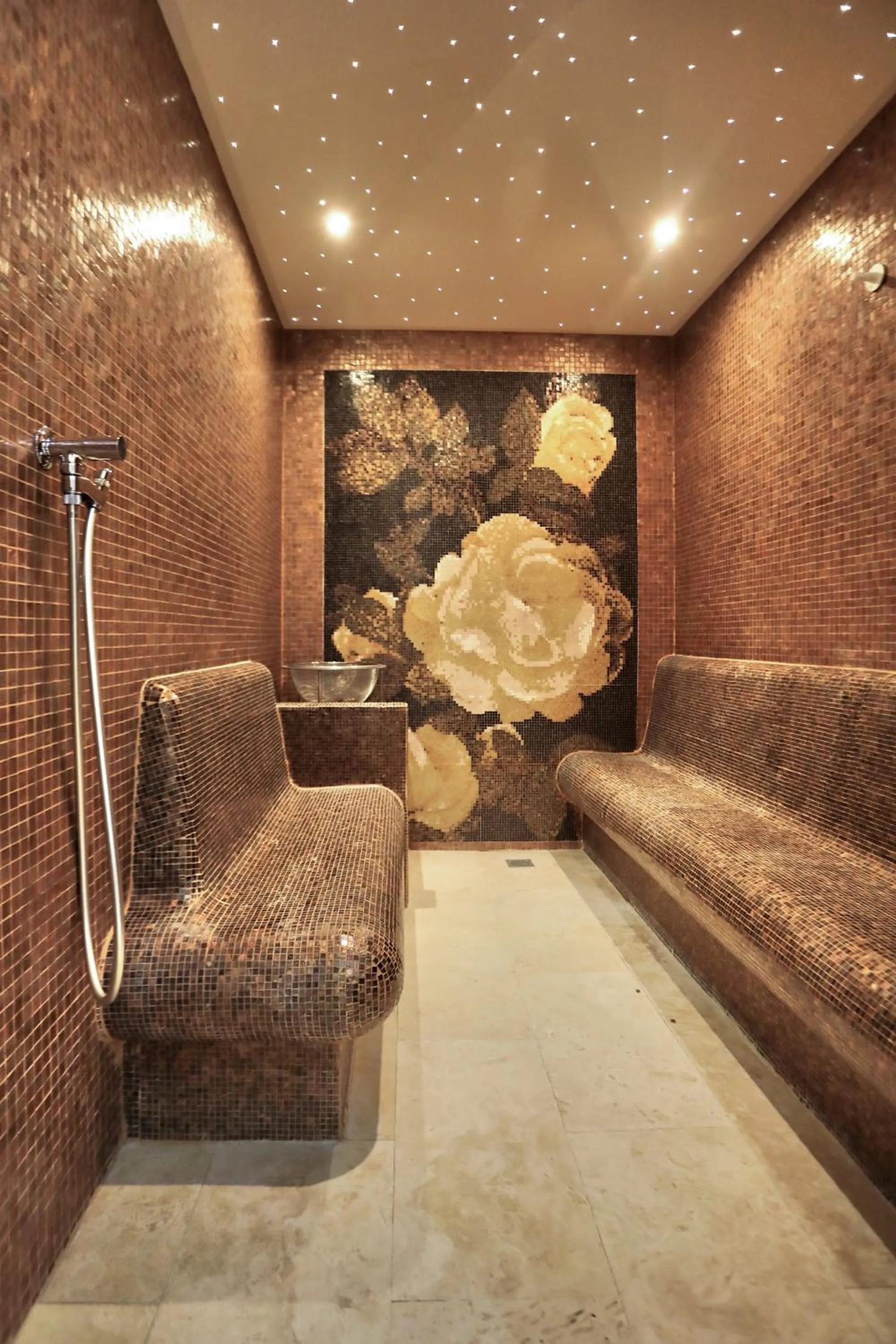 Steam room in Château de Béguin