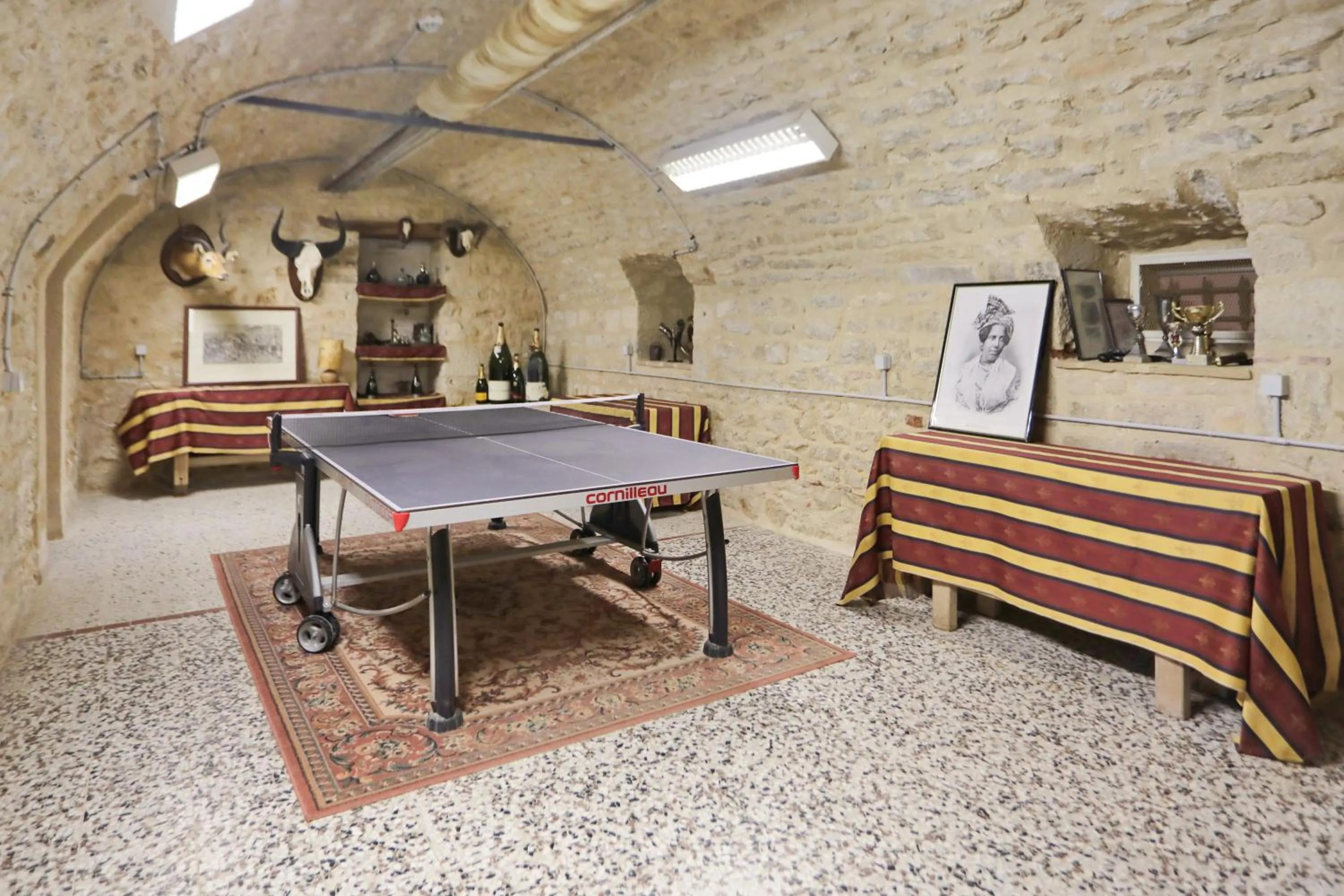 Table tennis in Château de Béguin