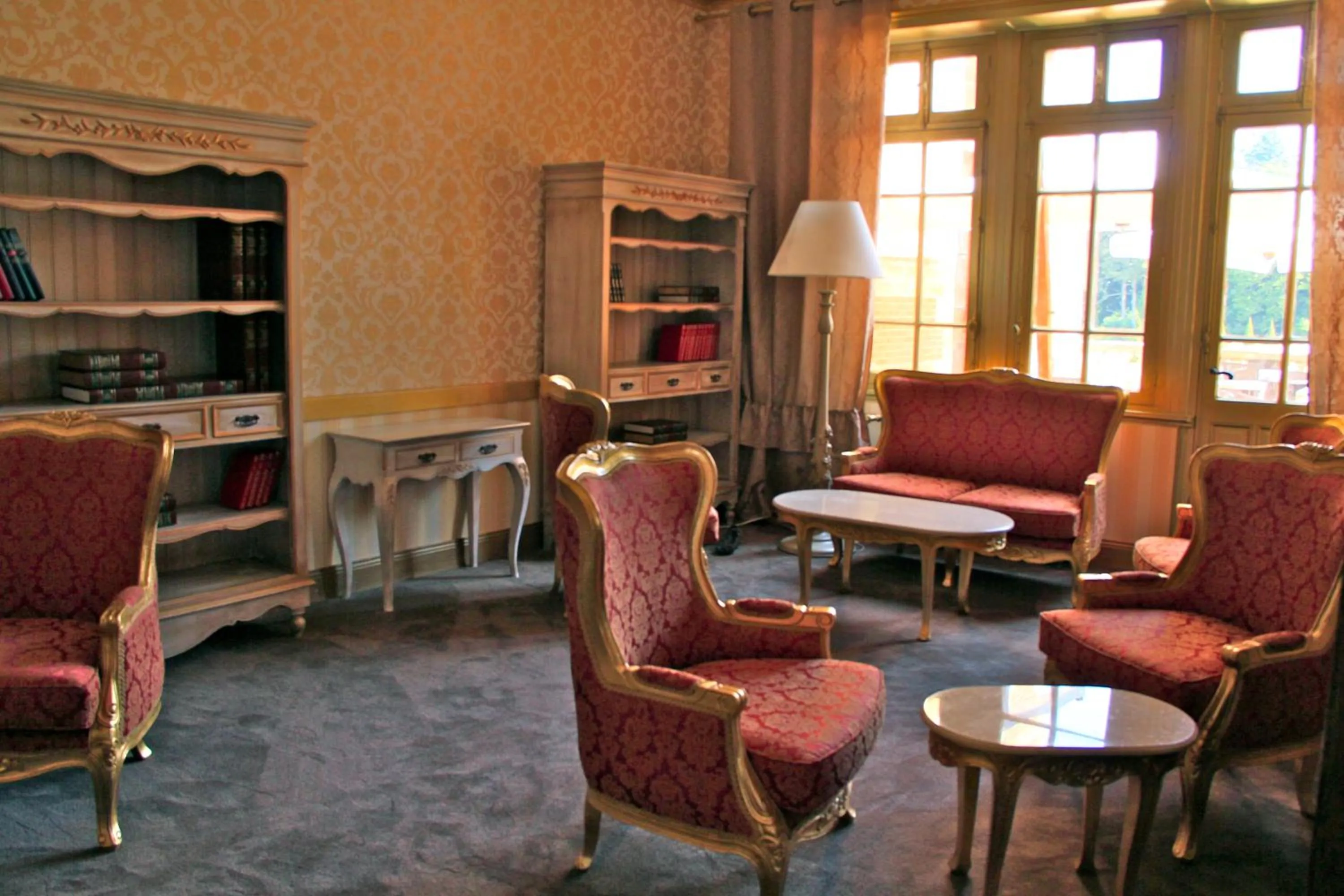 Library in Château de Béguin