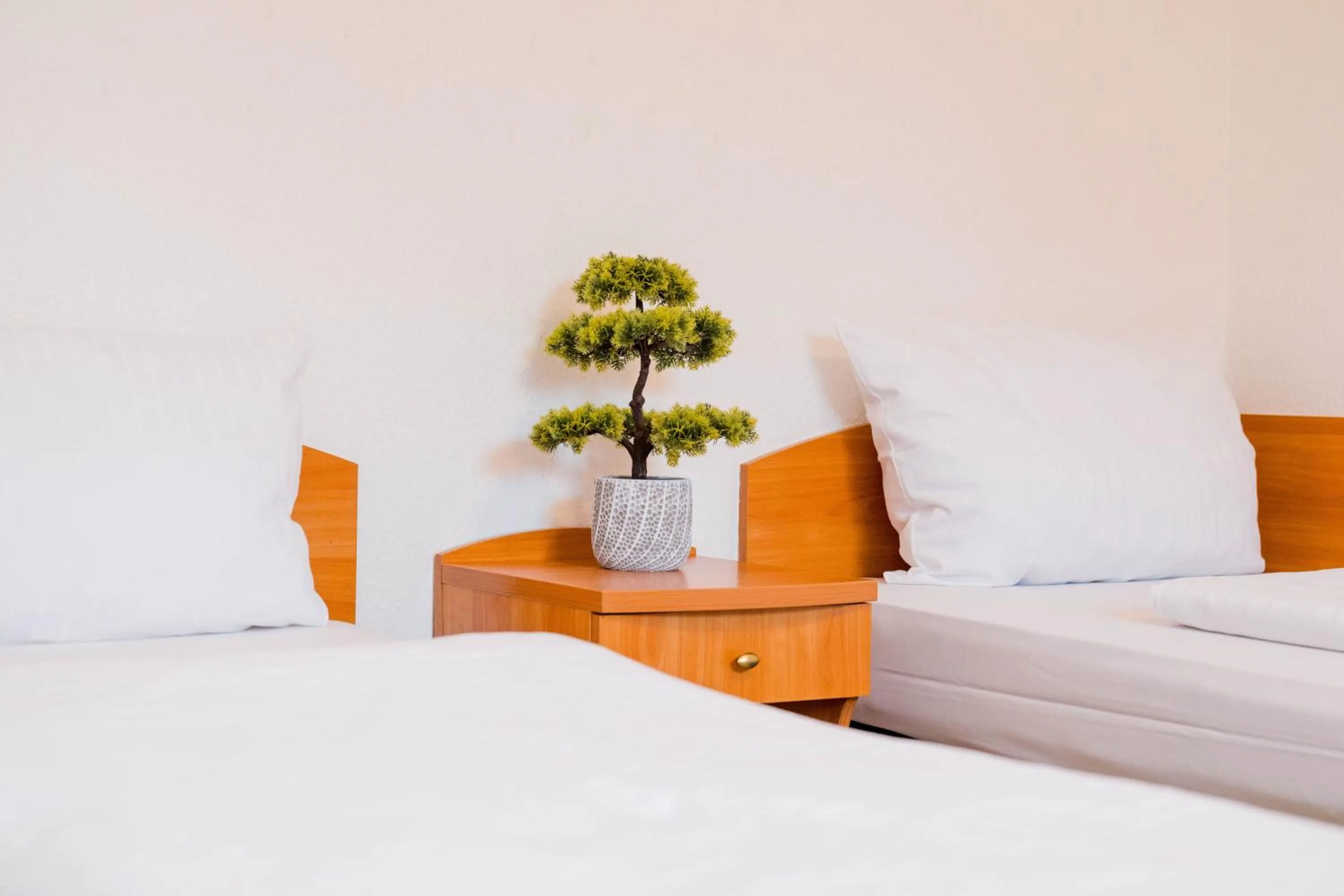 Photo of the whole room, Bed in Hotel Admiral am Zoo