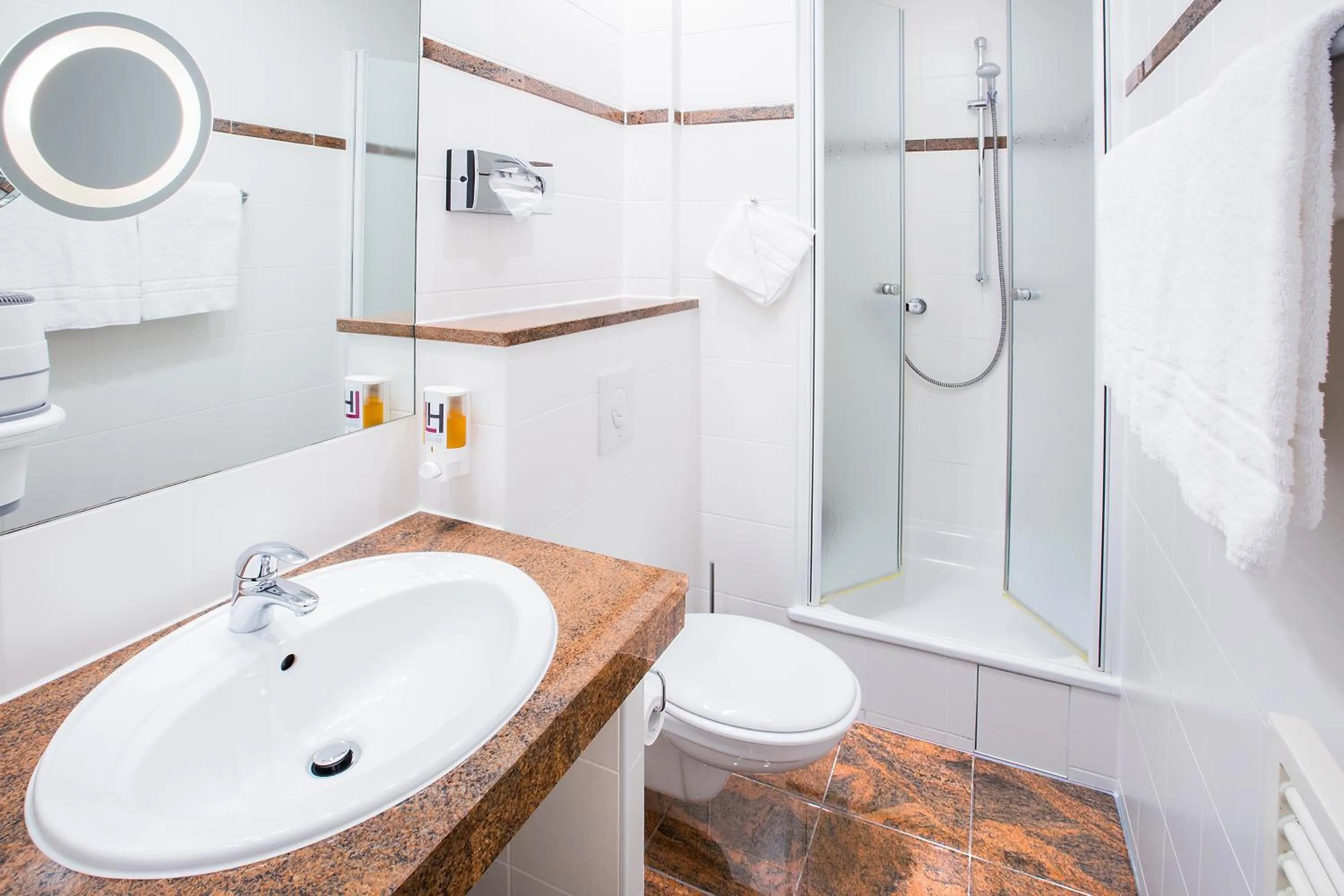 Bathroom in Anna 1908