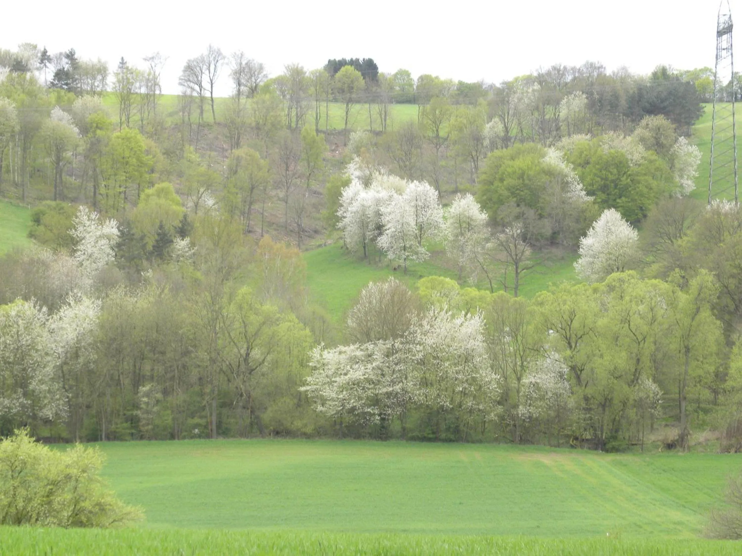 Area and facilities in Thüringer Hof
