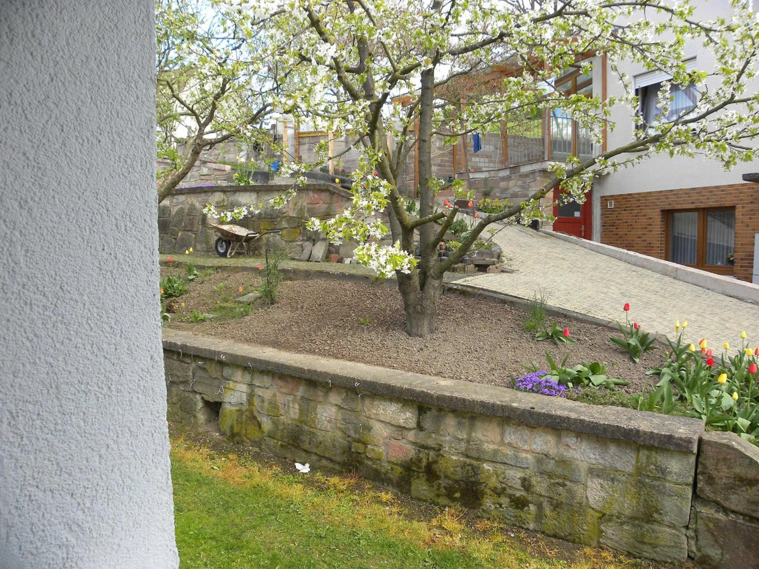 Garden in Thüringer Hof