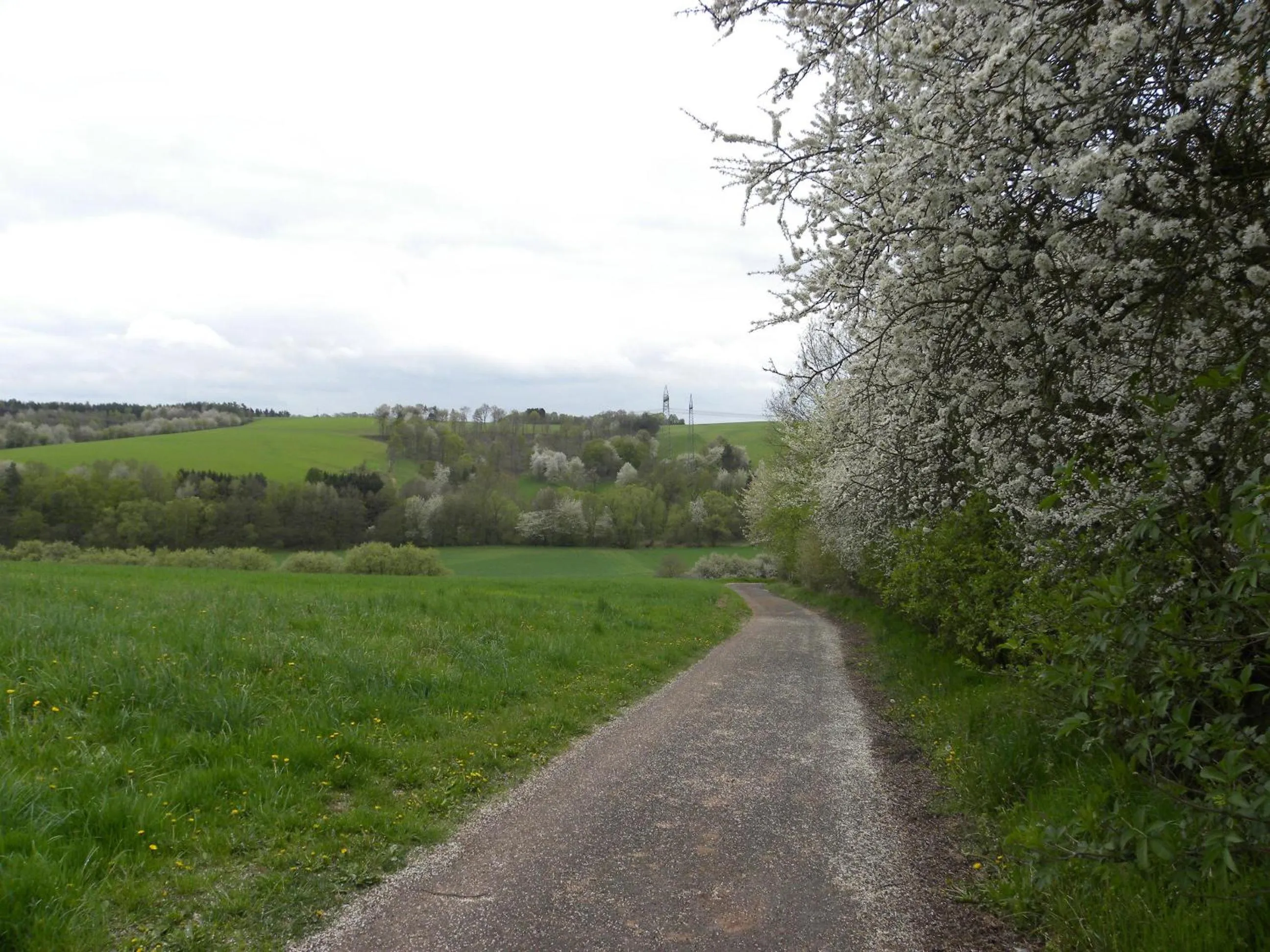 Area and facilities in Thüringer Hof