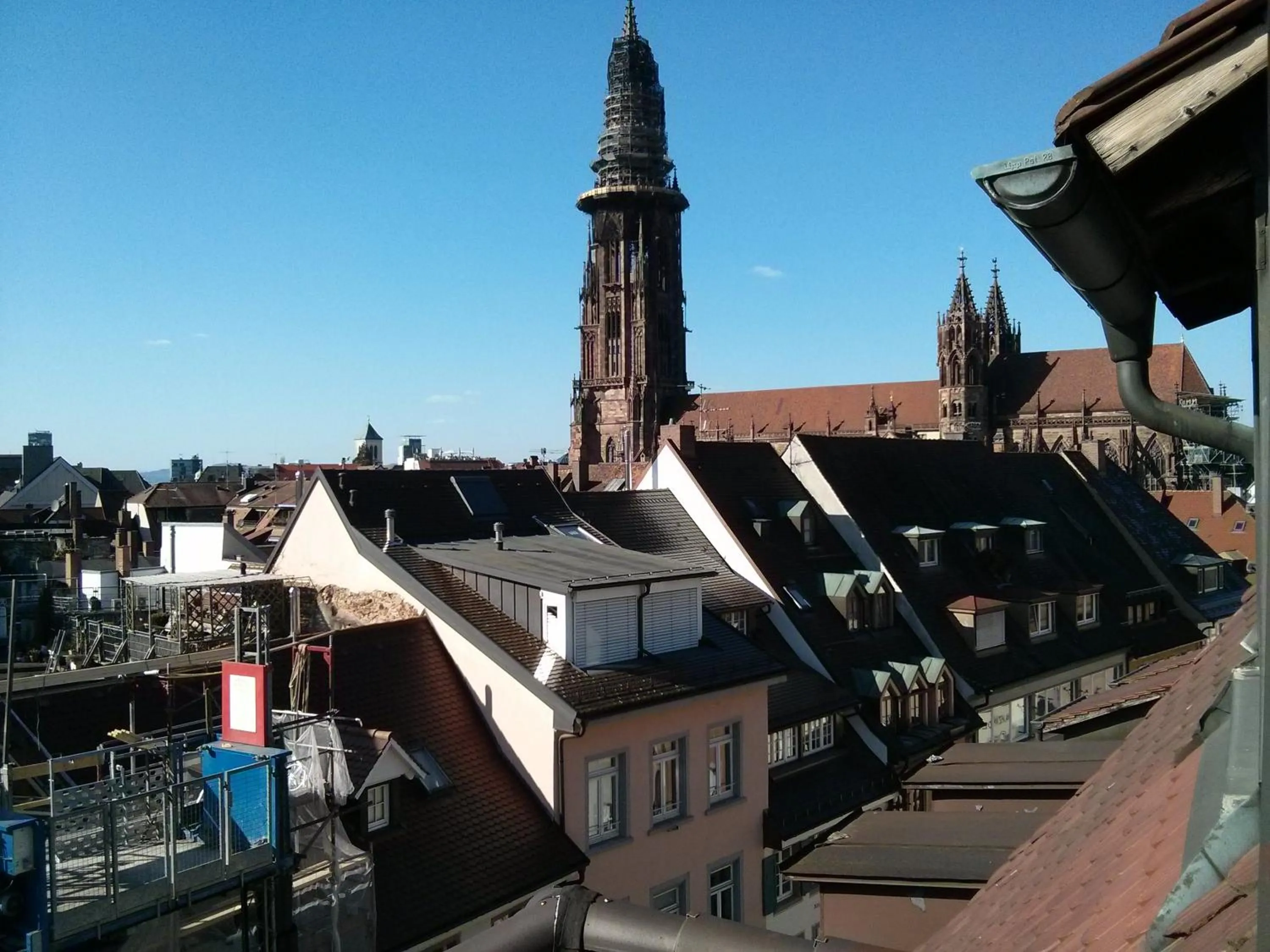 Spring in Hotel Schwarzwälder Hof