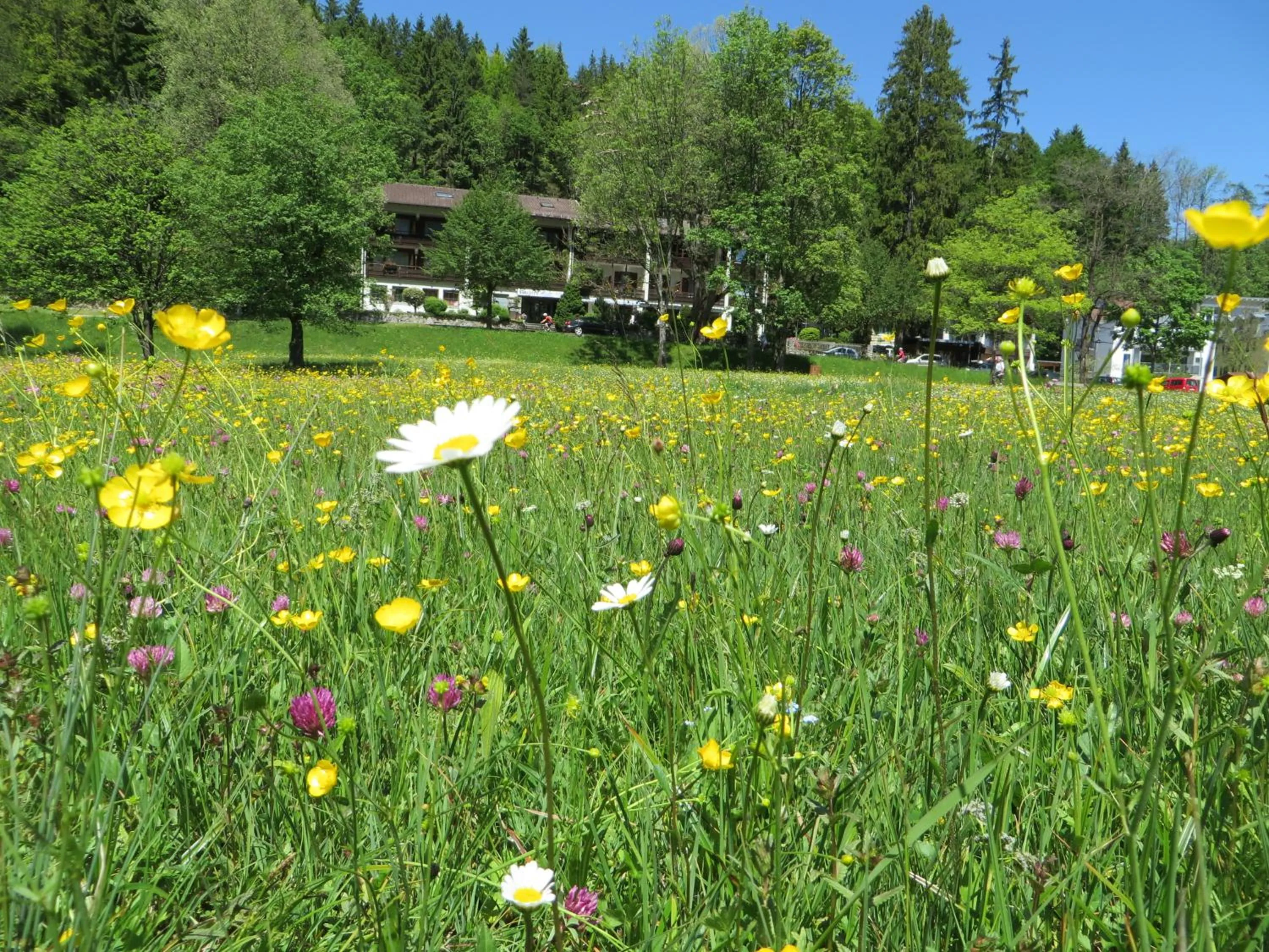 Property building in Hotel Ruchti - Zeit für mich