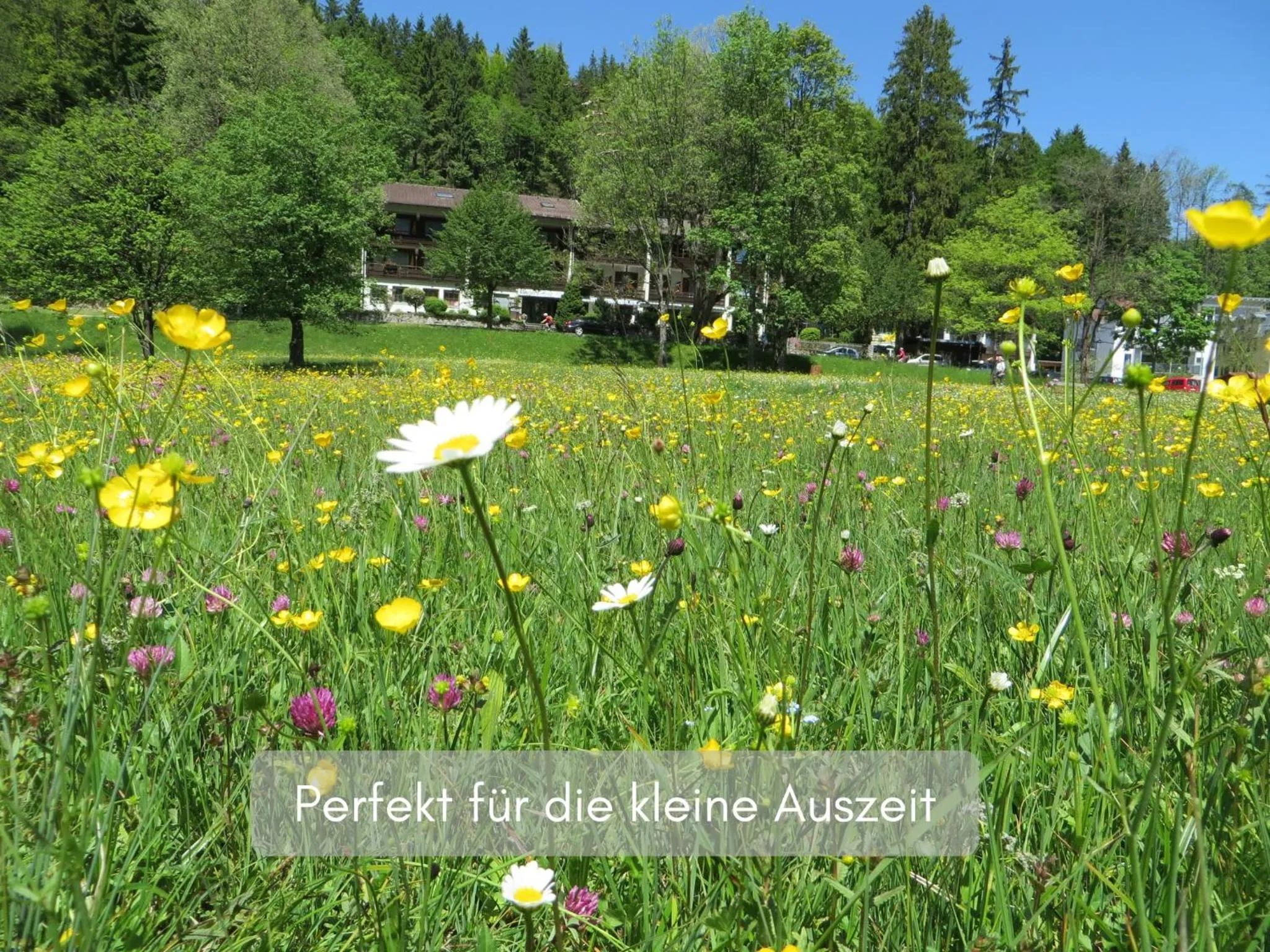 Property building in Hotel Ruchti - Zeit für mich