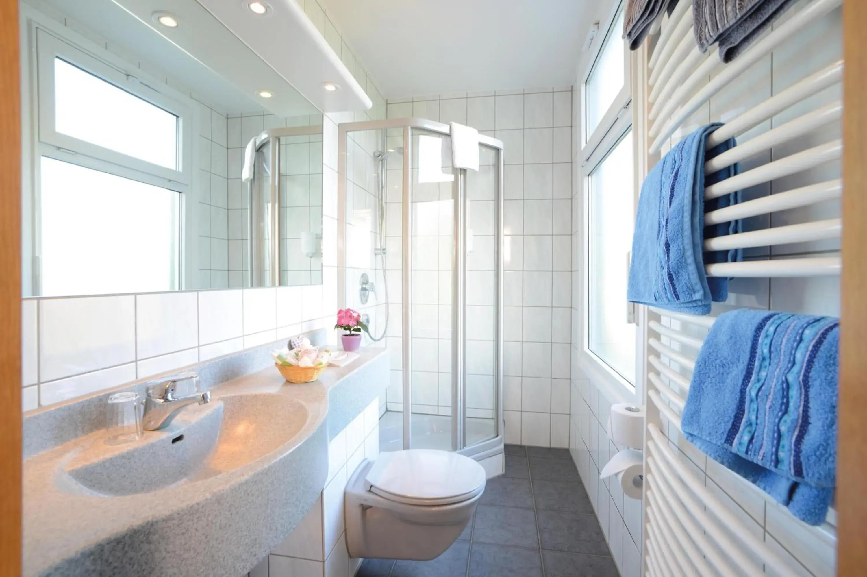 Standard King Room - single occupancy in Hotel Kiekenstein Standard King Room - single occupancy in Hotel Kiekenstein