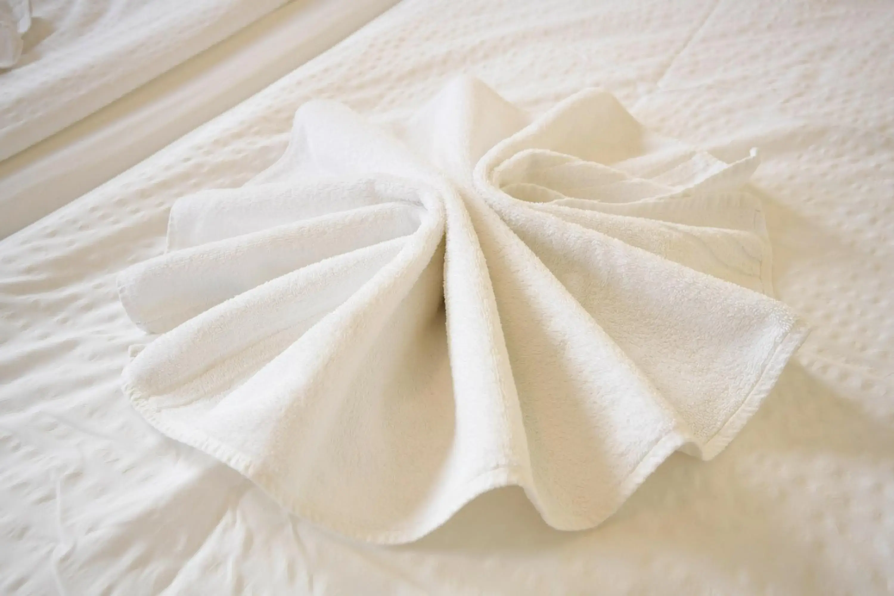 Single Room in Hotel Kiekenstein Single Room in Hotel Kiekenstein