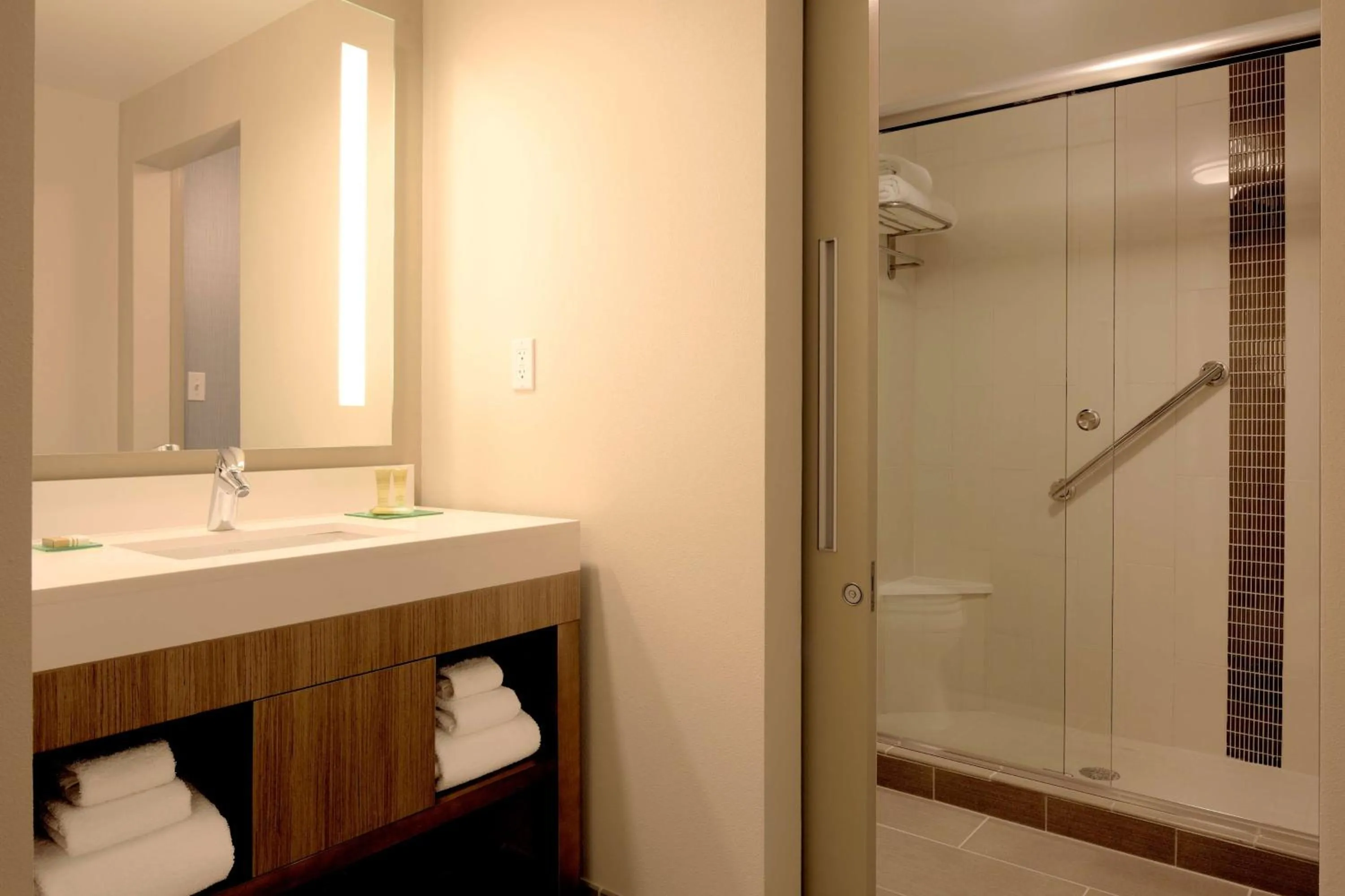 Bathroom in Hyatt Place Melbourne - Palm Bay - I-95
