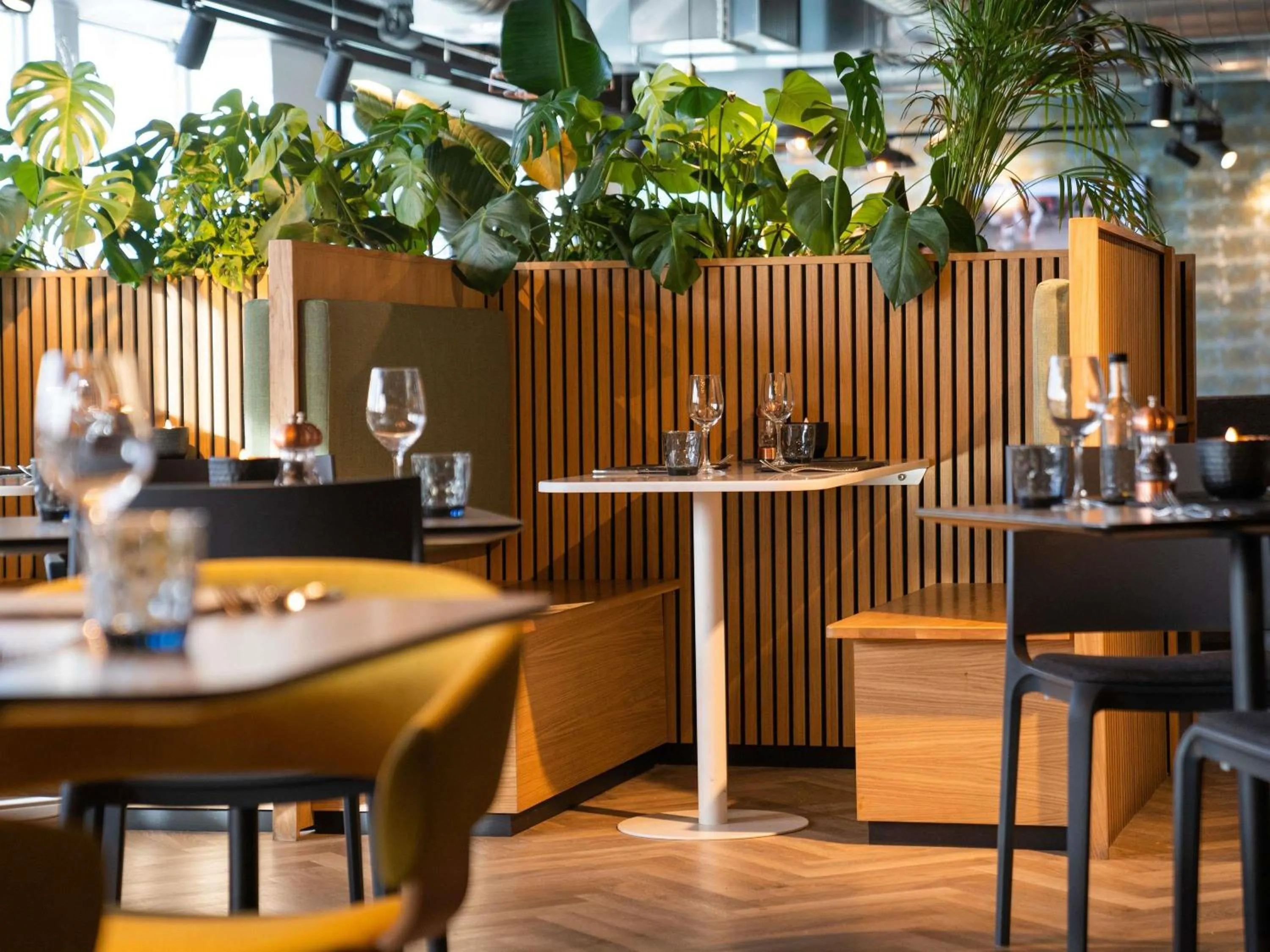 Lounge or bar in Mercure Newport