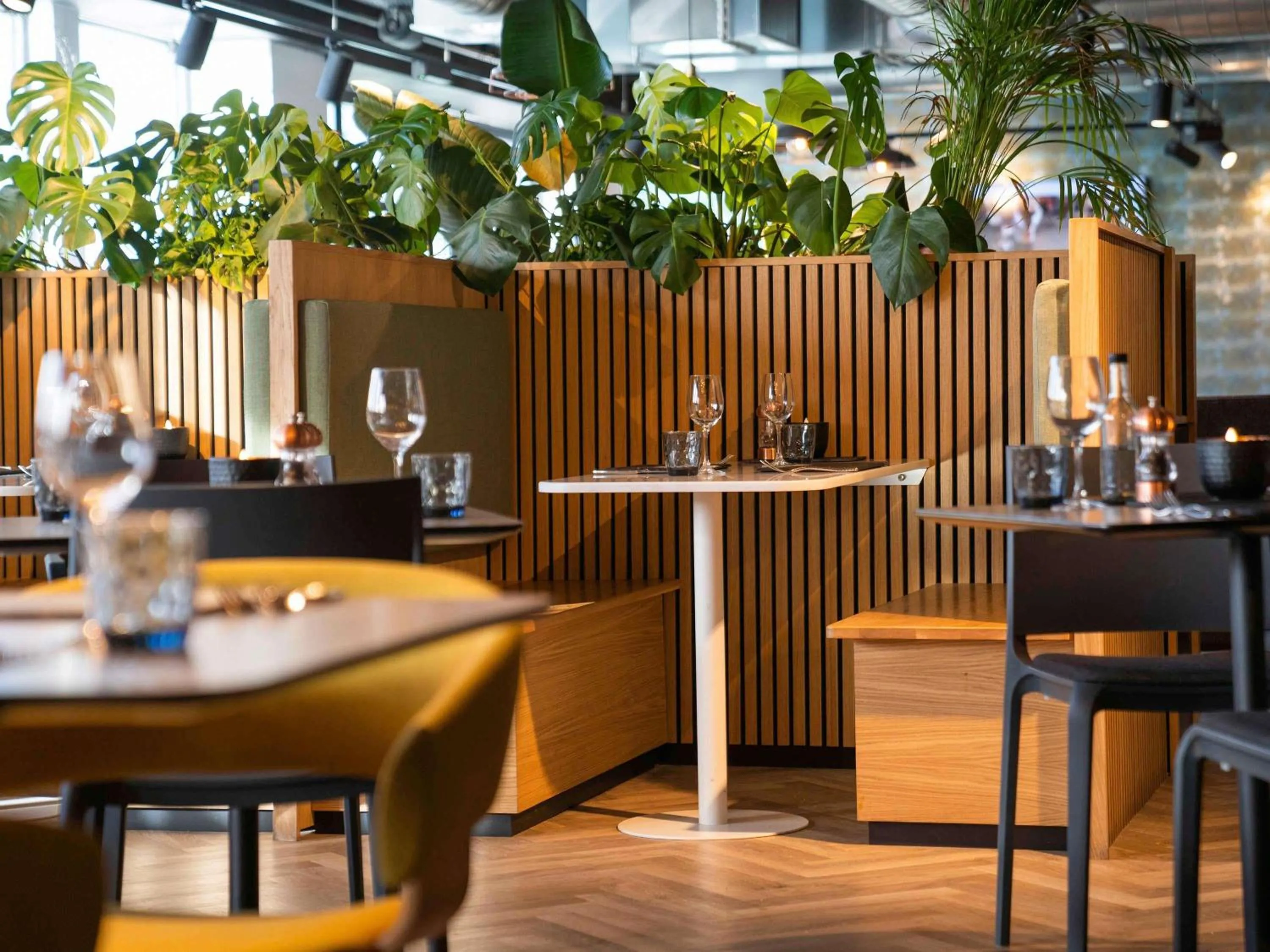 Restaurant/places to eat in Mercure Newport