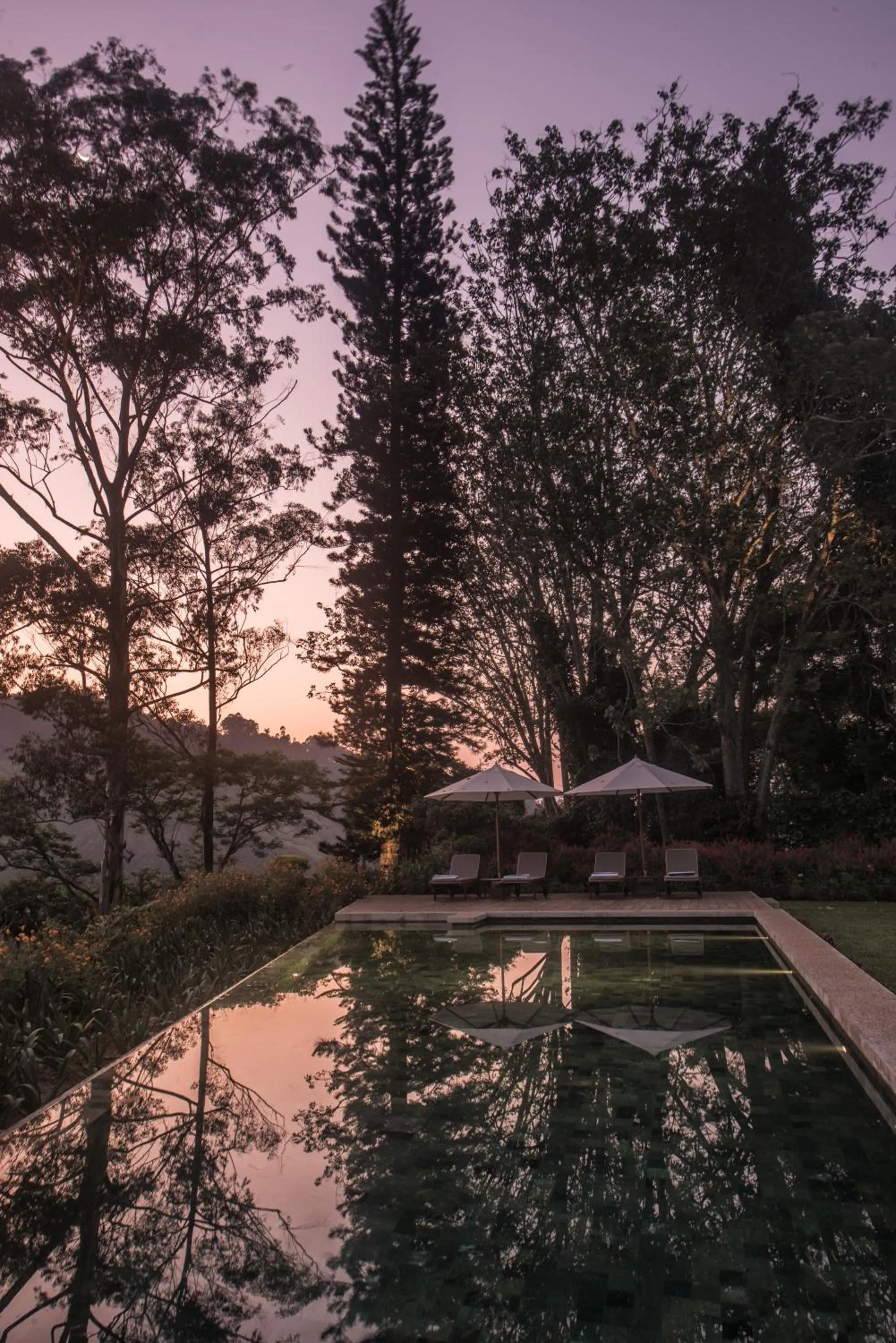 Garden in Nine Skies