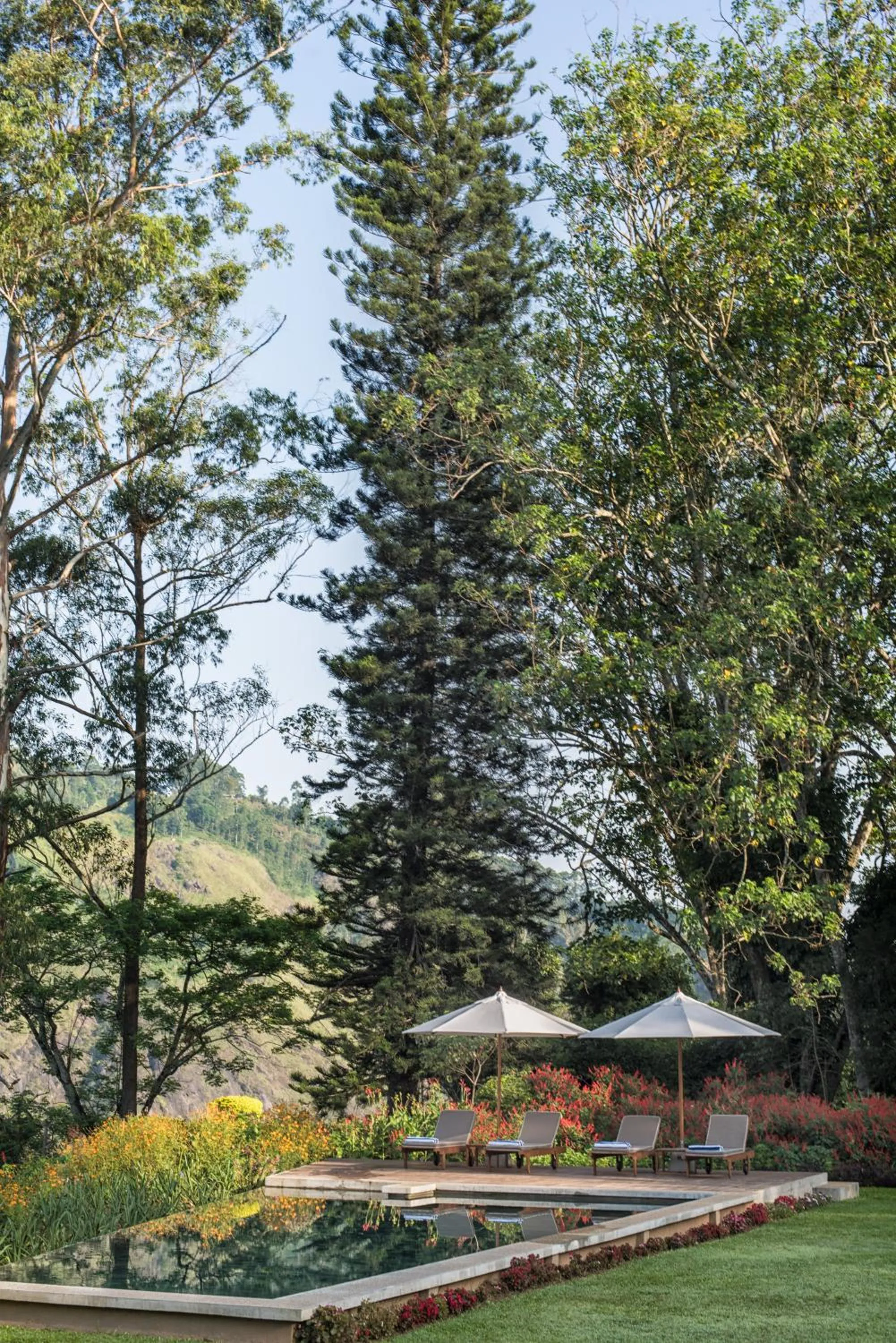 Garden in Nine Skies