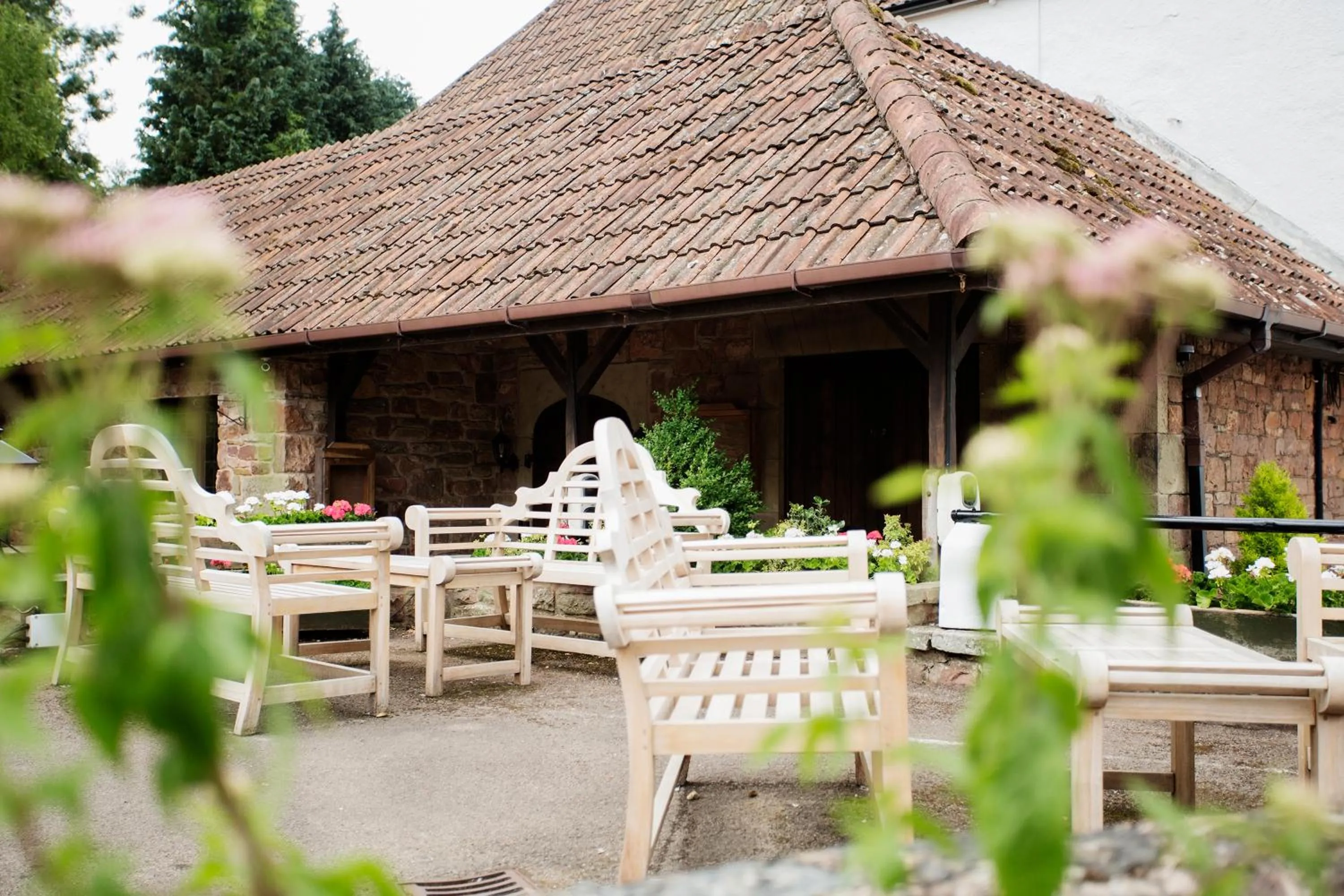 Garden in The Wyndham Hotel