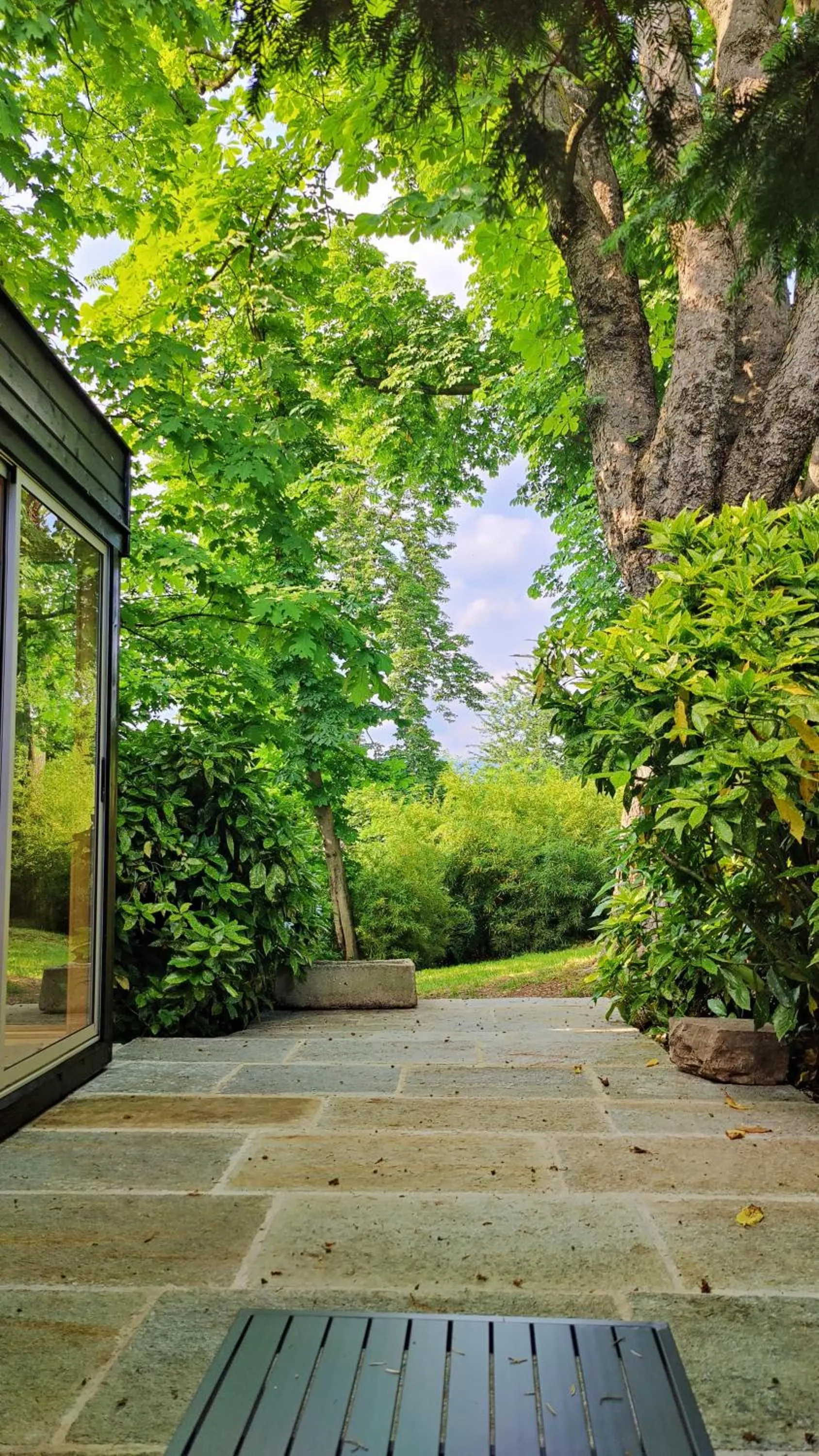 Sauna in Dandelion Como Suites & Park