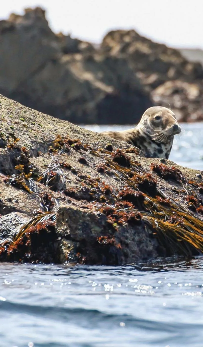 Neighbourhood in Les Villas d Onalou Kergastel