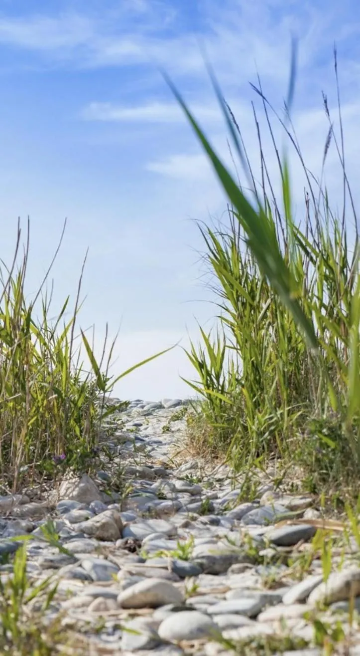 Neighbourhood in Les Villas d Onalou Kergastel