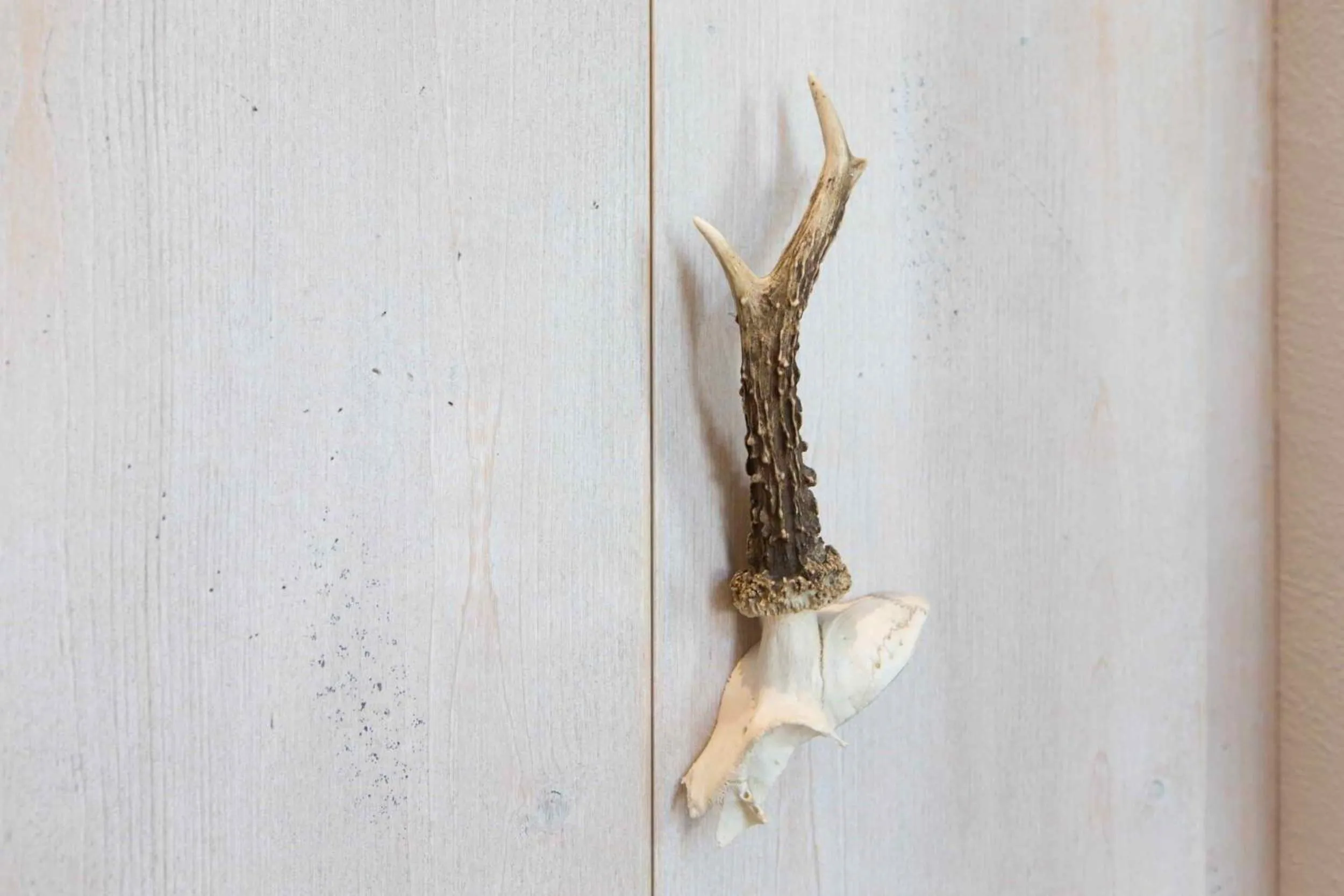 Decorative detail in Hotel Nuhnetal