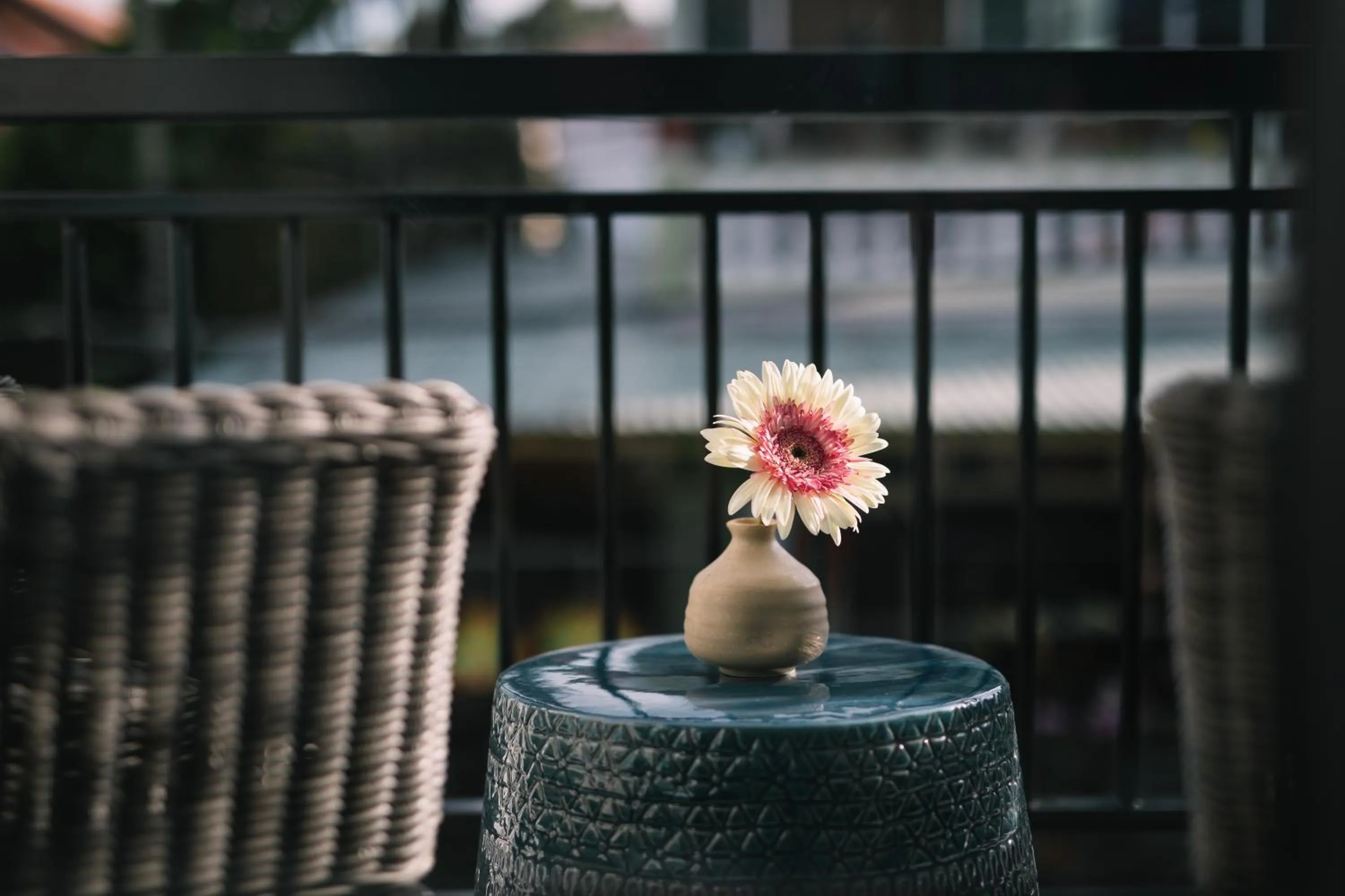 Seating area in Volar de Faifo Villa