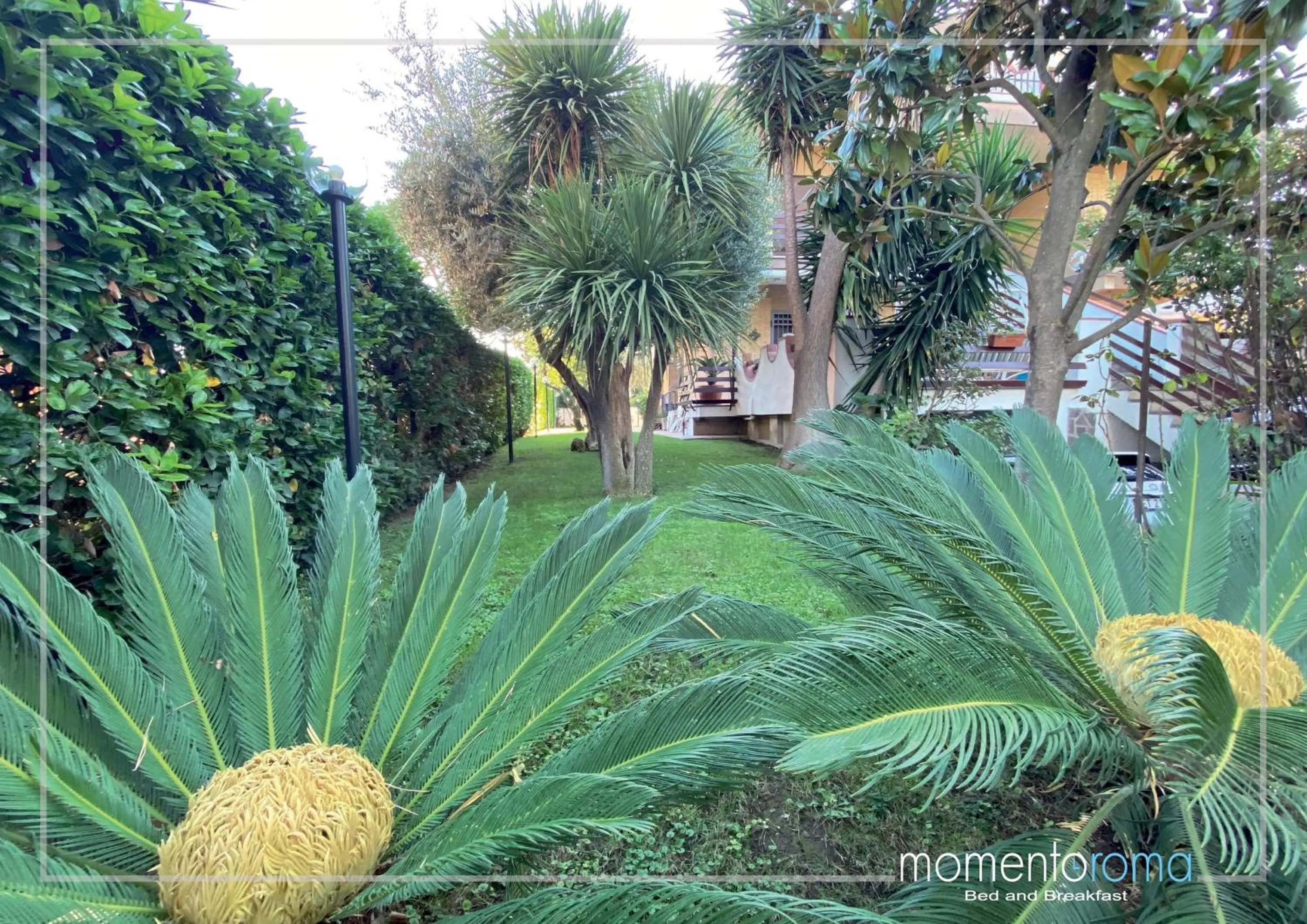 Spring in Momentoroma b&b