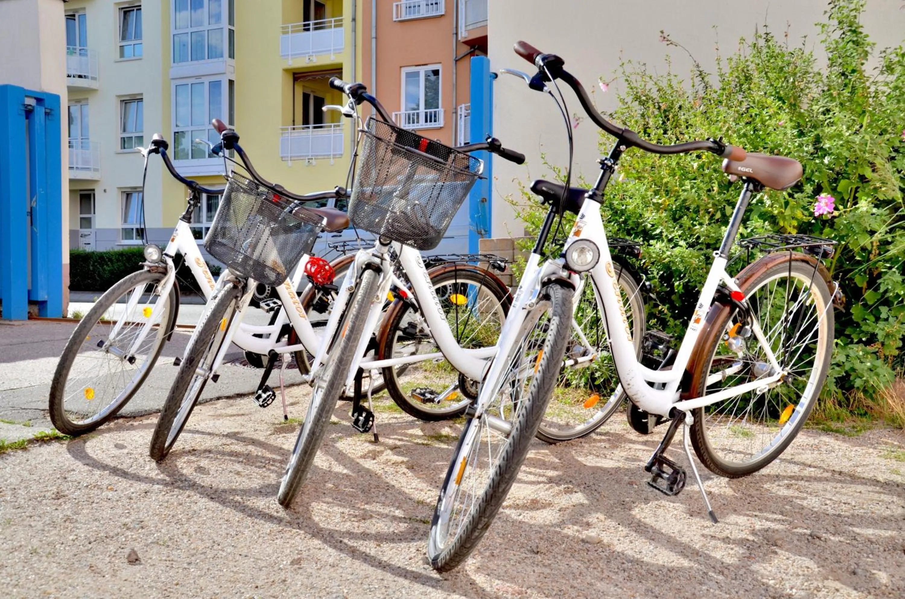 Activities in Hotel Alt-Connewitz