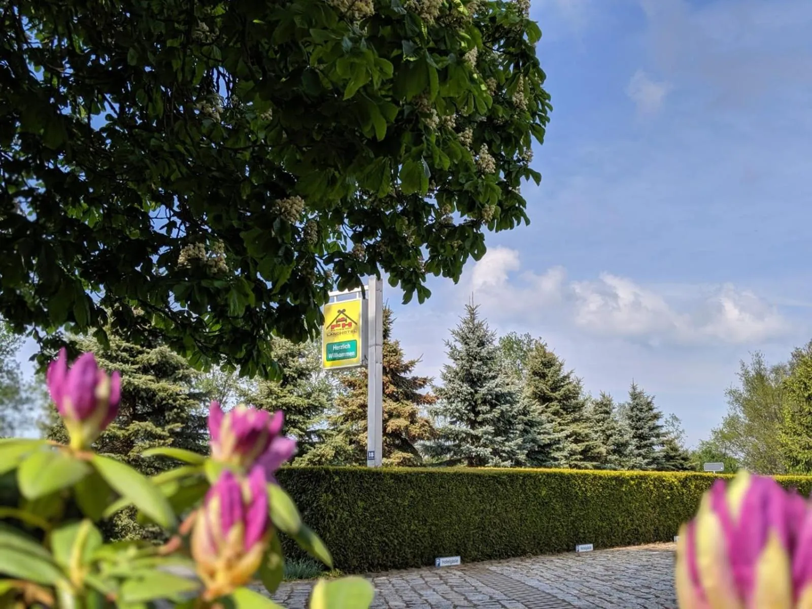 Street view in Landhotel Pathes Hof