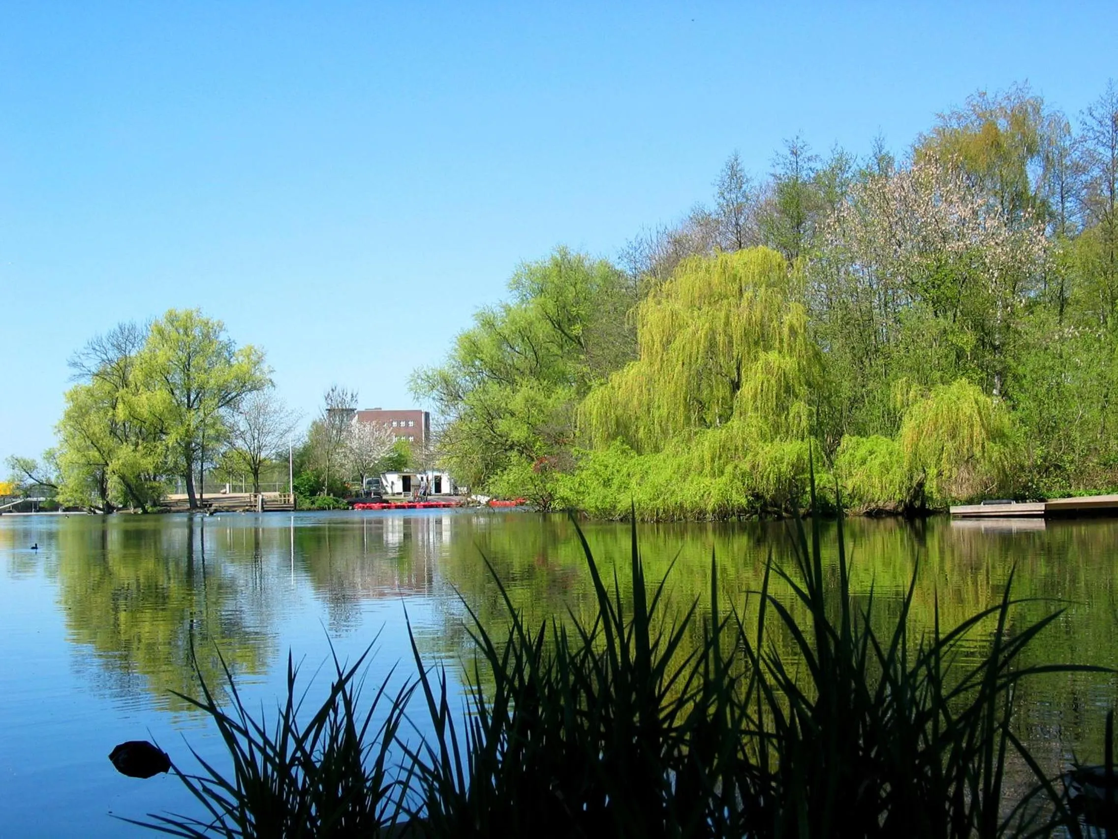 Area and facilities in Hotel Am Segelhafen