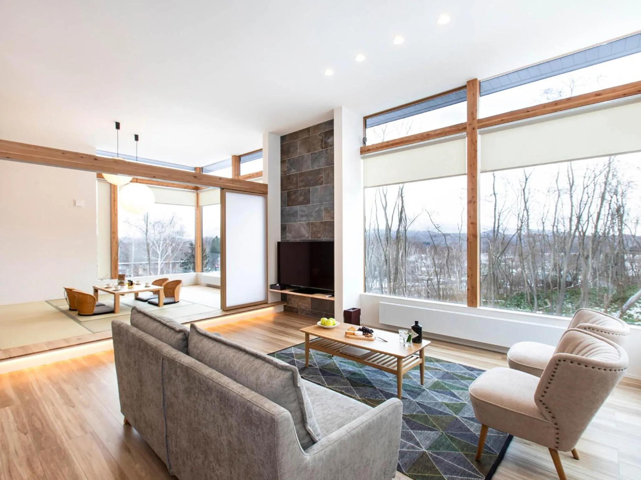 TV and multimedia in Aoyama Lodge