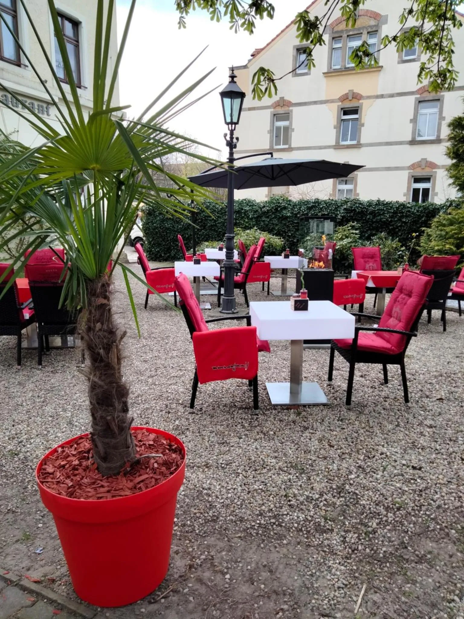 Garden in MUSTANG INN am Großen Garten