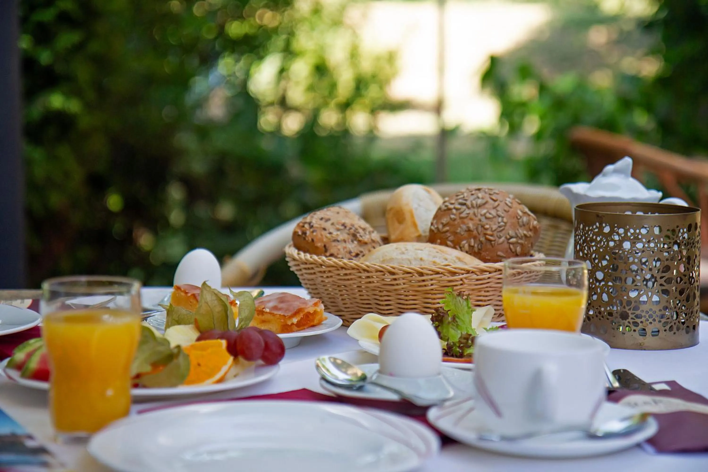 Day in Hotel ELBRIVERA Alt Prester